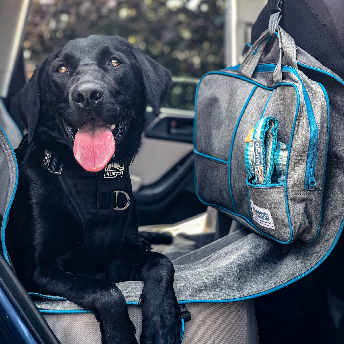 Kurgo Tru - Fit Hundegeschirr – Sicheres Auto - Sicherheitsgeschirr mit Crashtest - Zertifizierung - Woofshack