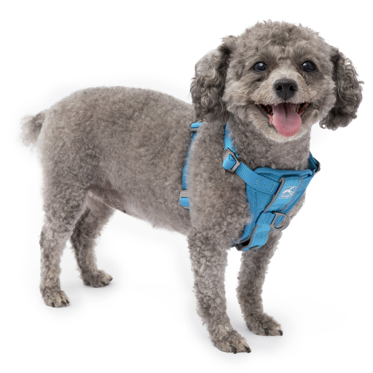 Kurgo Tru - Fit Hundegeschirr – Sicheres Auto - Sicherheitsgeschirr mit Crashtest - Zertifizierung - Woofshack