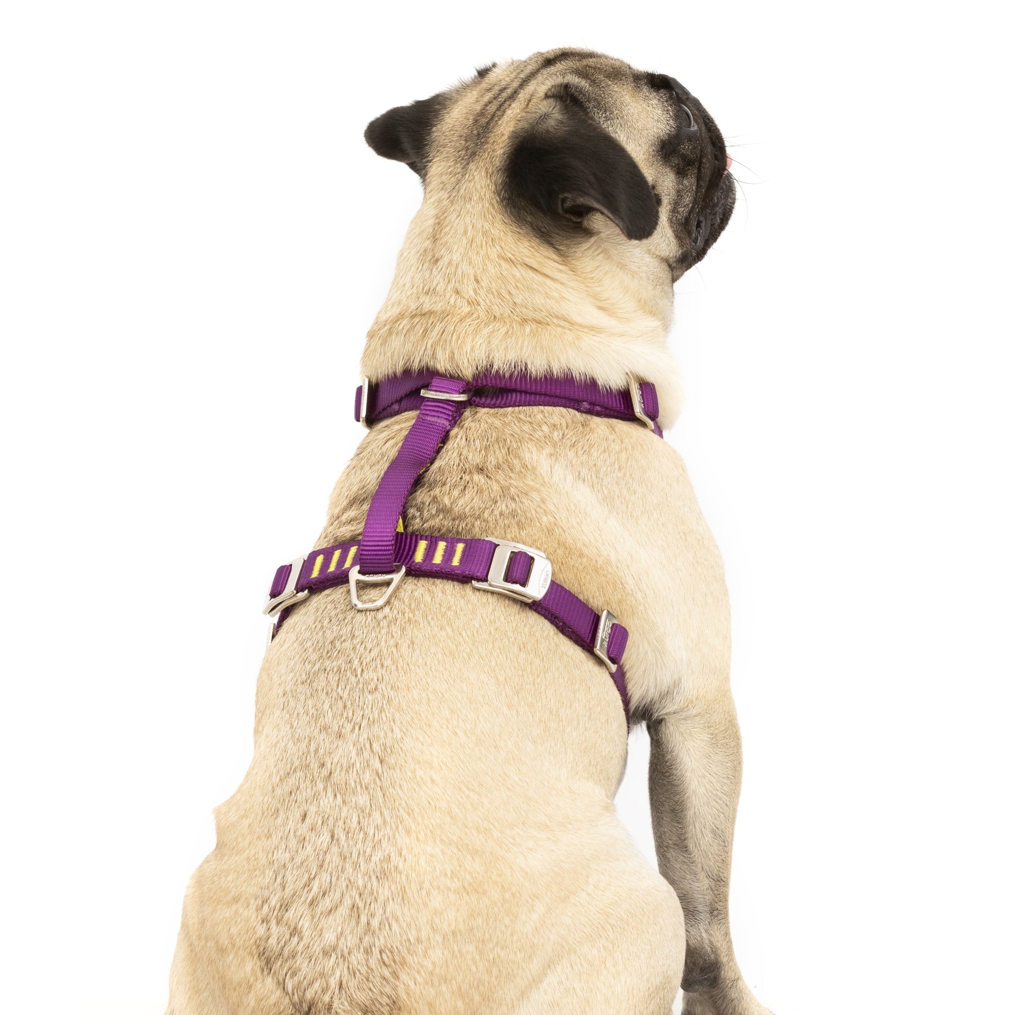 Kurgo Tru - Fit Hundegeschirr – Sicheres Auto - Sicherheitsgeschirr mit Crashtest - Zertifizierung - Woofshack