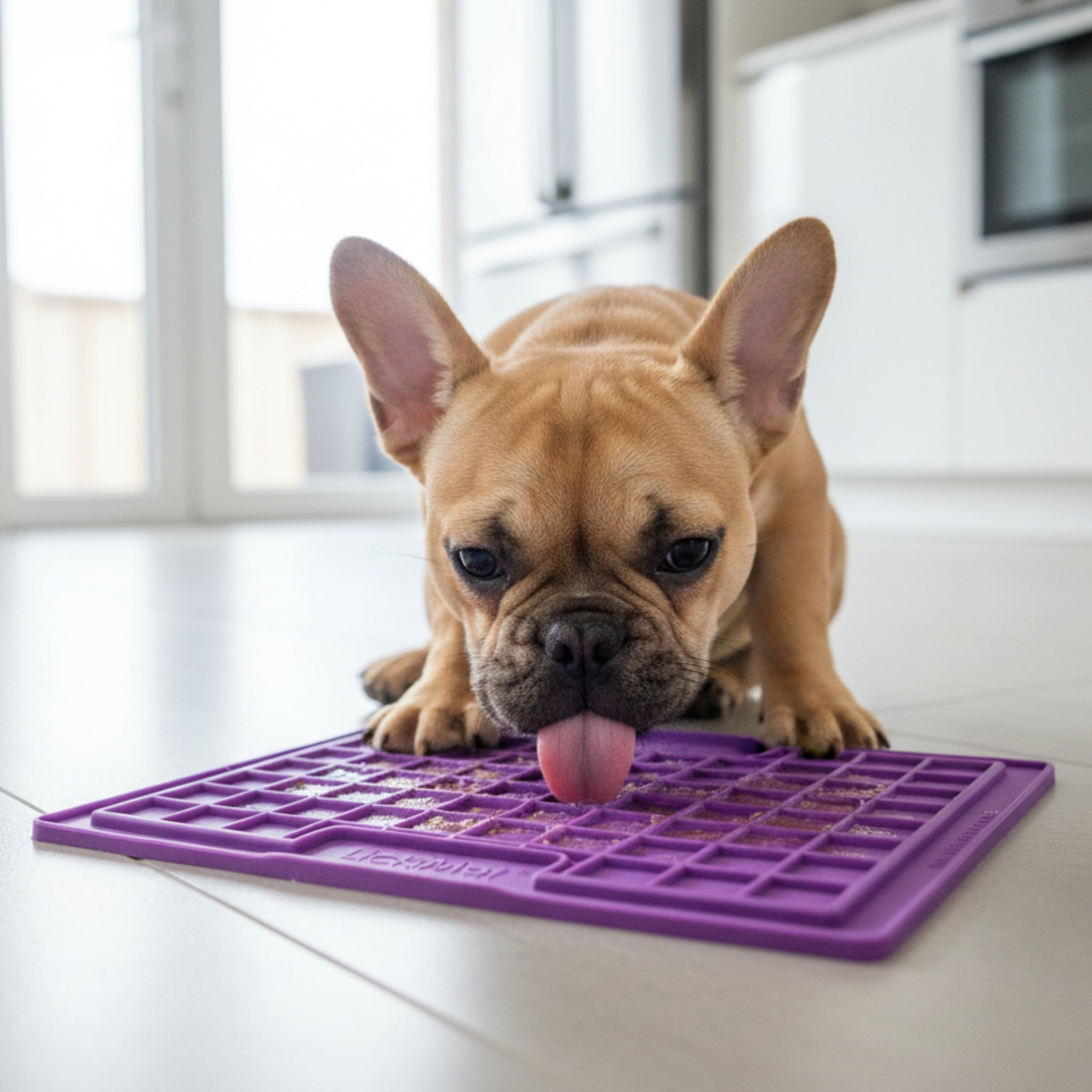LickiMat Classic Playdate Schleckmatte – Anti - Stress & Beruhigung für ängstliche Hunde - Woofshack