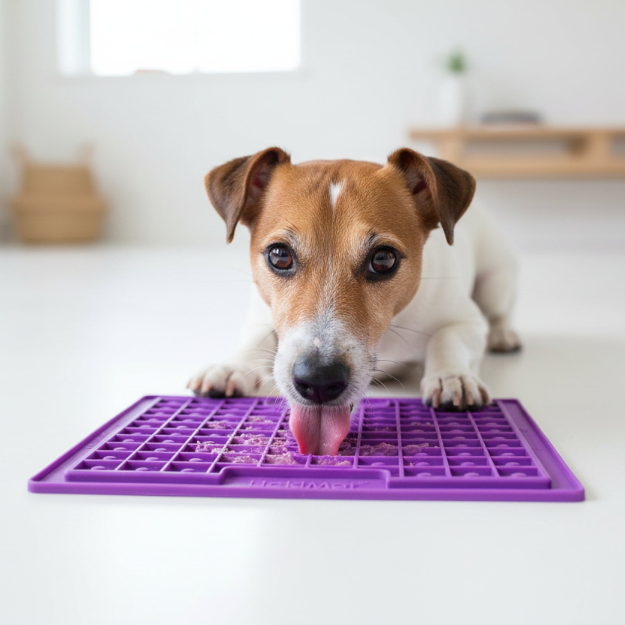 LickiMat Classic Playdate Schleckmatte – Anti - Stress & Beruhigung für ängstliche Hunde - Woofshack
