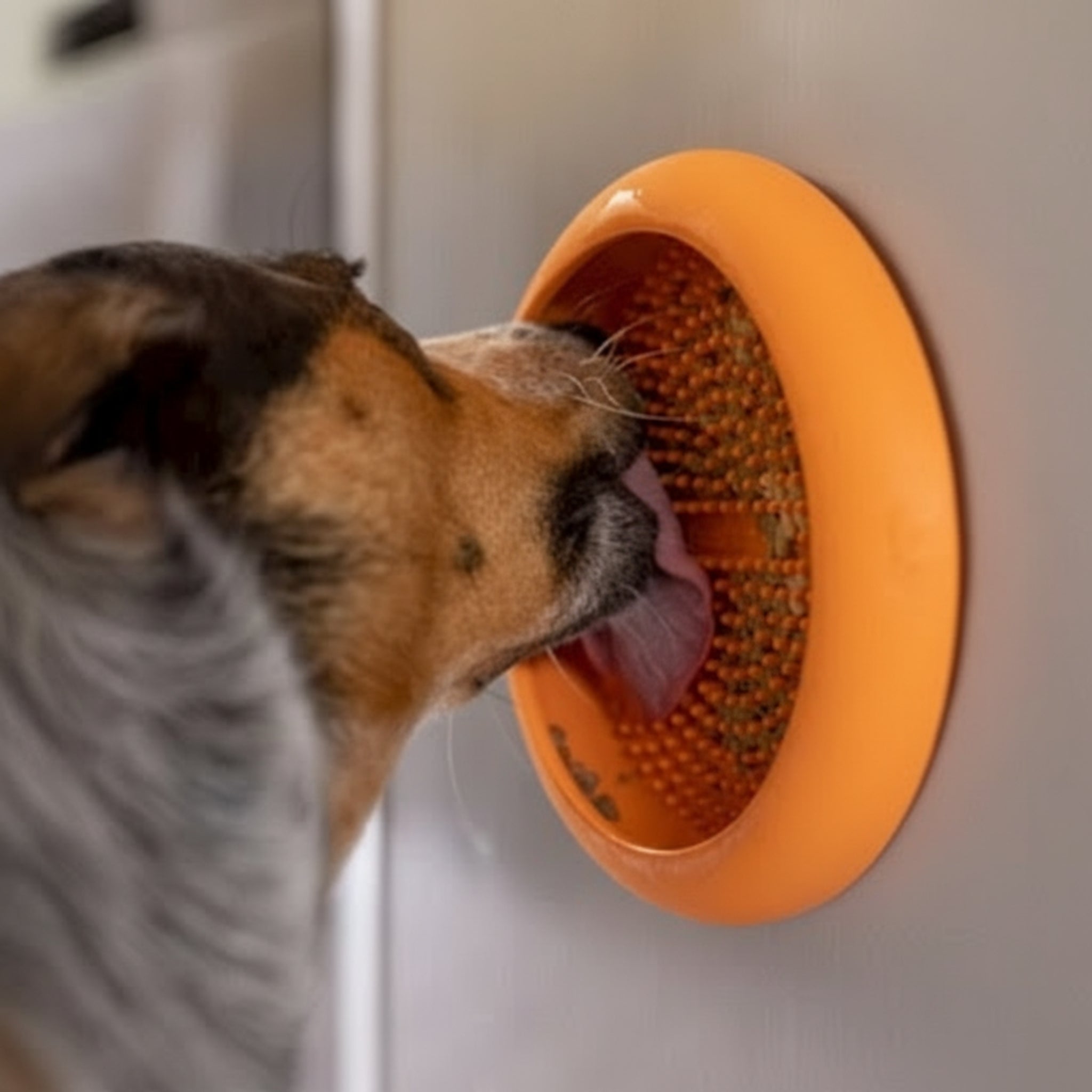 LickiMat Ufo Schleckschale – Anti - Stress Beschäftigung für Hunde - Woofshack