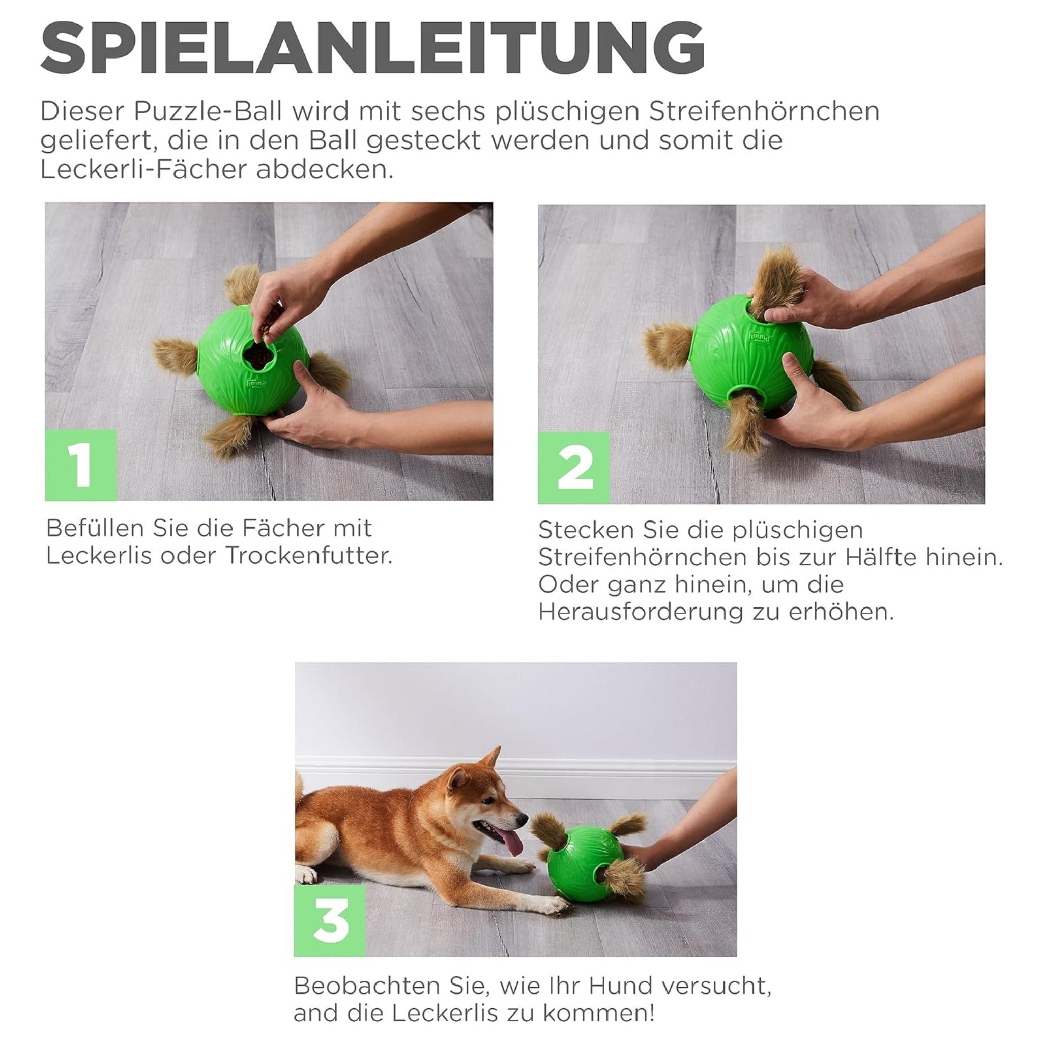 Nina Ottosson Dog Snuffle N&