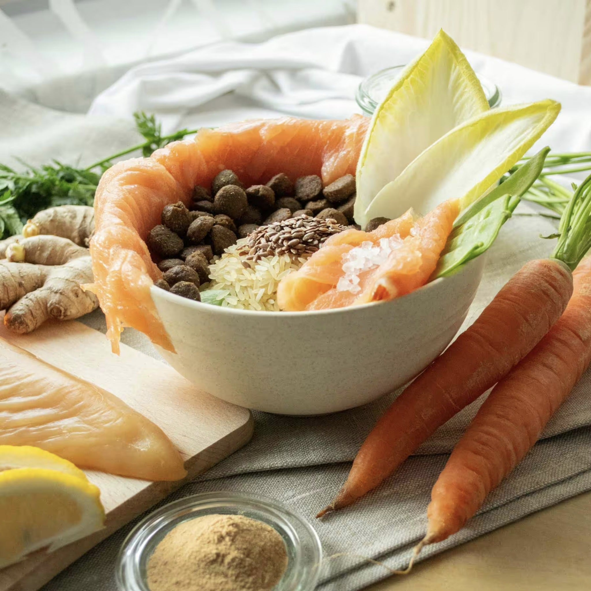 Perro Cat Premium Adult Lachs - Katzen Trockenfutter - Woofshack