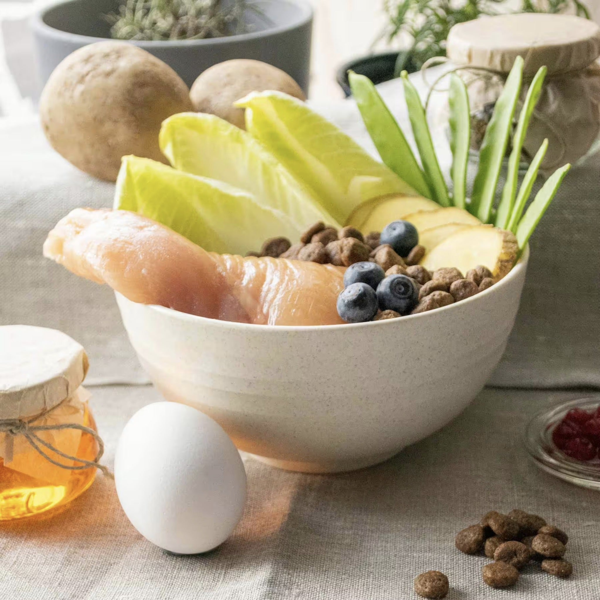 Perro Cat Premium Formel+ getreidefrei - Katzen Trockenfutter - Woofshack