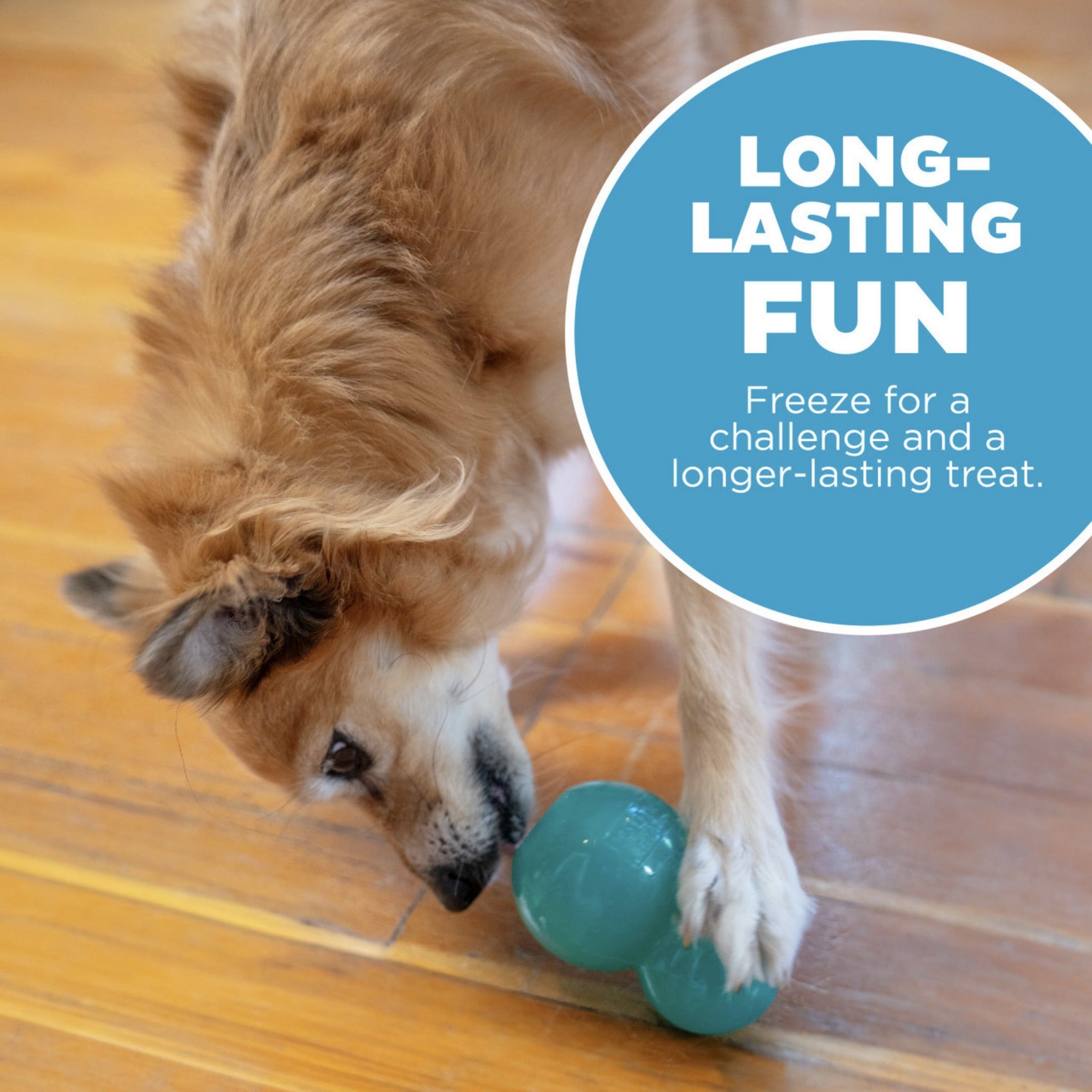Planet Dog Double-Tuff – Unzerstörbares Kauspielzeug für starke Kauer & intensive Zahnpflege