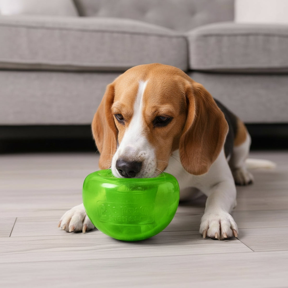 Planet Dog Orbee - Tuff Snoop Intelligenzspielzeug – Interaktiver Leckerli - Spender gegen Langeweile & für mentale Auslastung - Woofshack