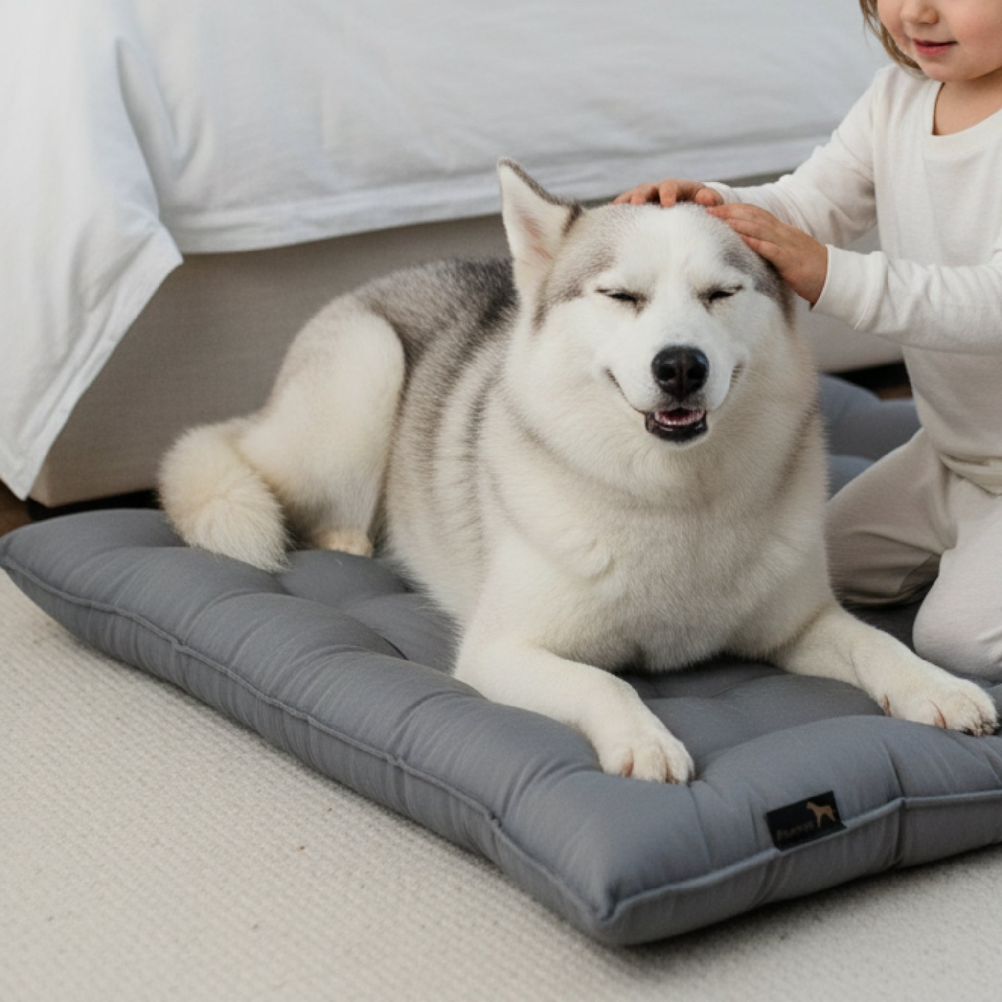 Pointer Hundekissen by Doctor Bark – Orthopädisches Premium - Hundebett mit Gelenkentlastung & Wärmespeicherung für schmerzfreien Schlafkomfort - Woofshack