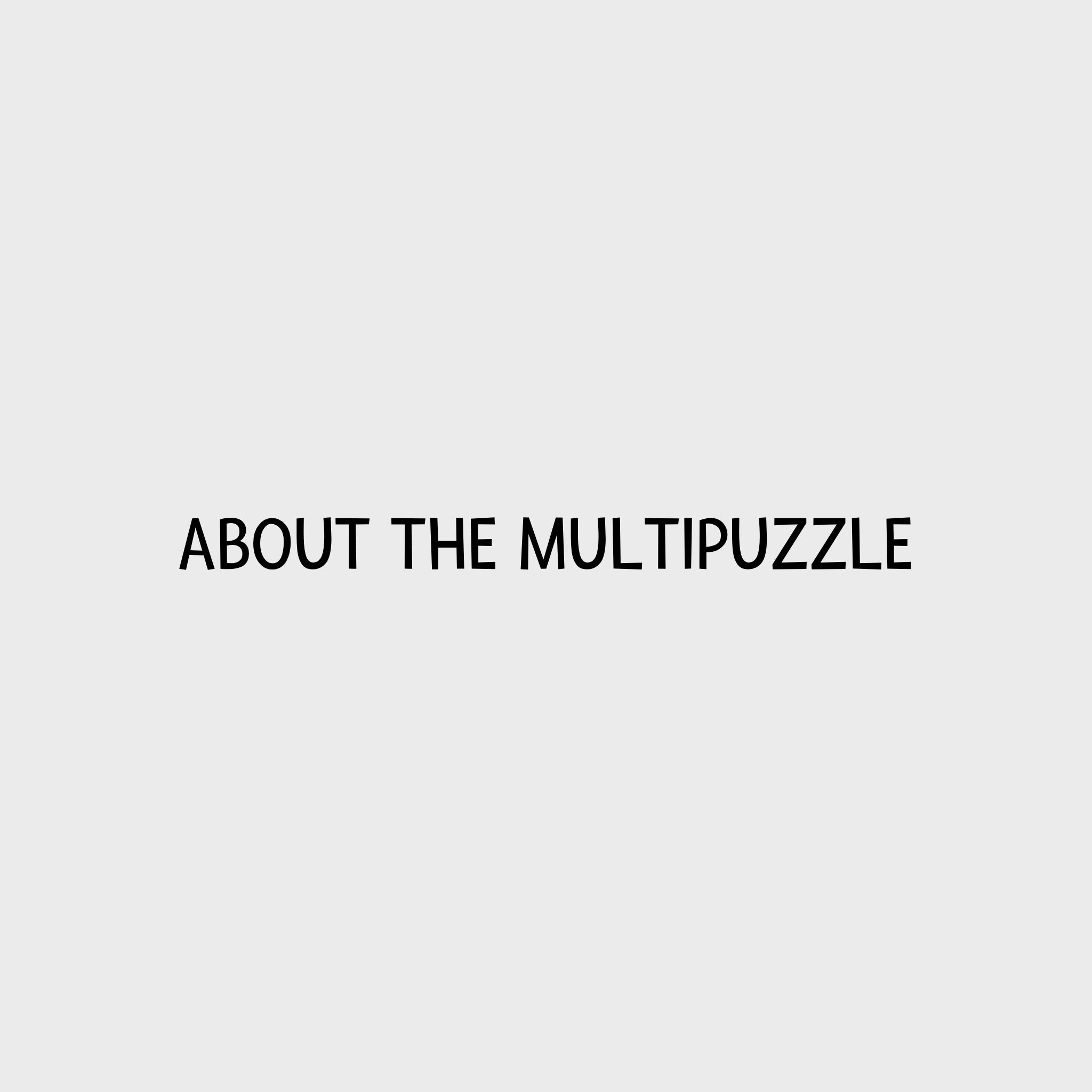 Video - Nina Ottosson MultiPuzzle