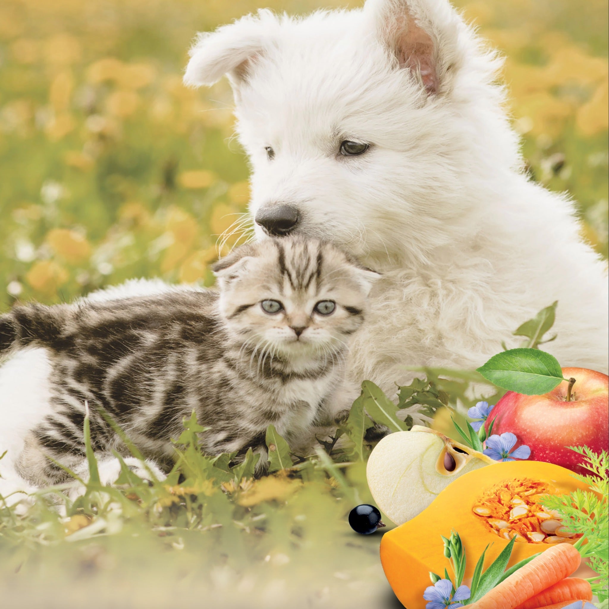 Pro - Nutrition Pure Life Digestion Sensible, Hundefutter - Woofshack