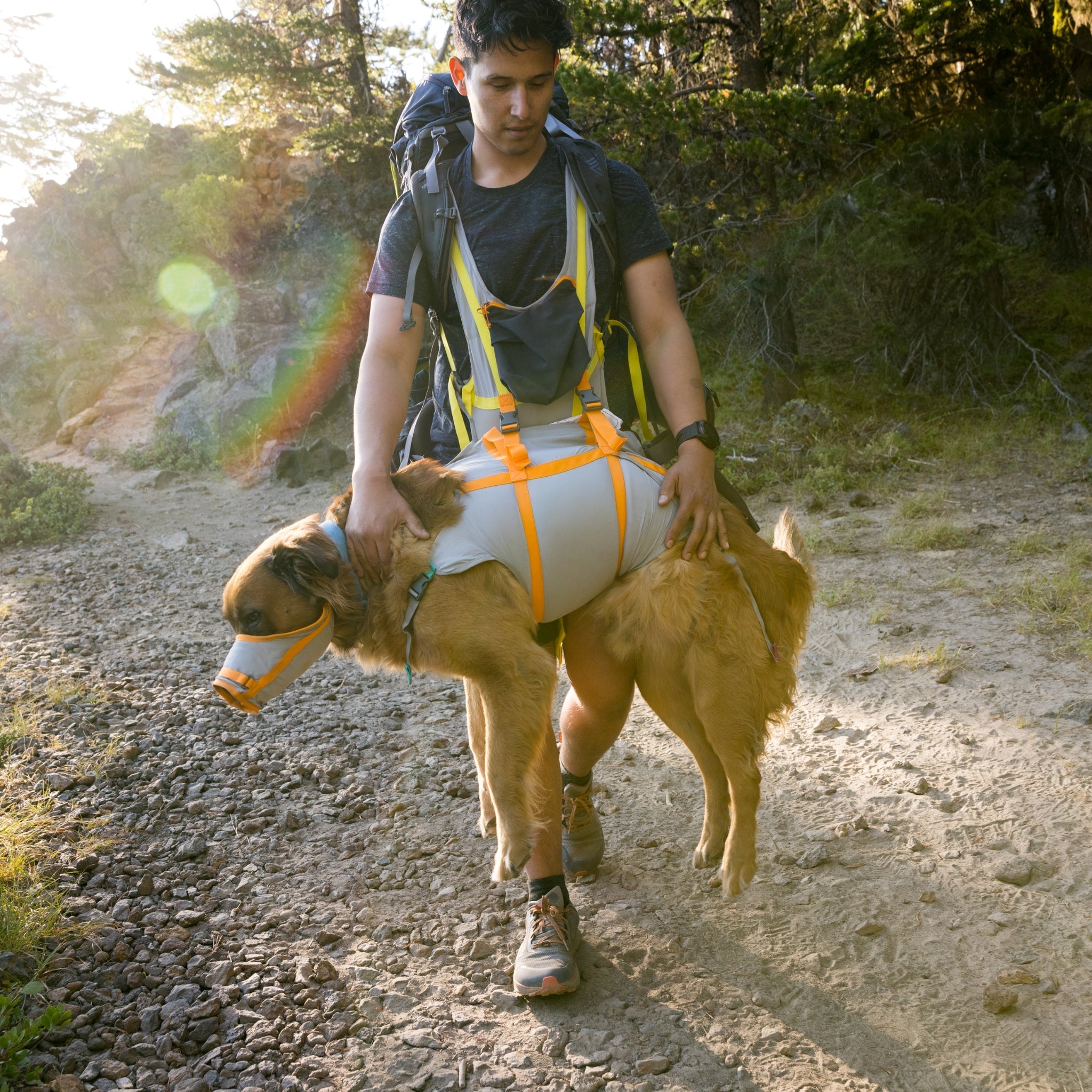 Ruffwear BackTrak Evakuierungsset – Sicheres Hunde - Rettungsgeschirr für Notfälle - Woofshack