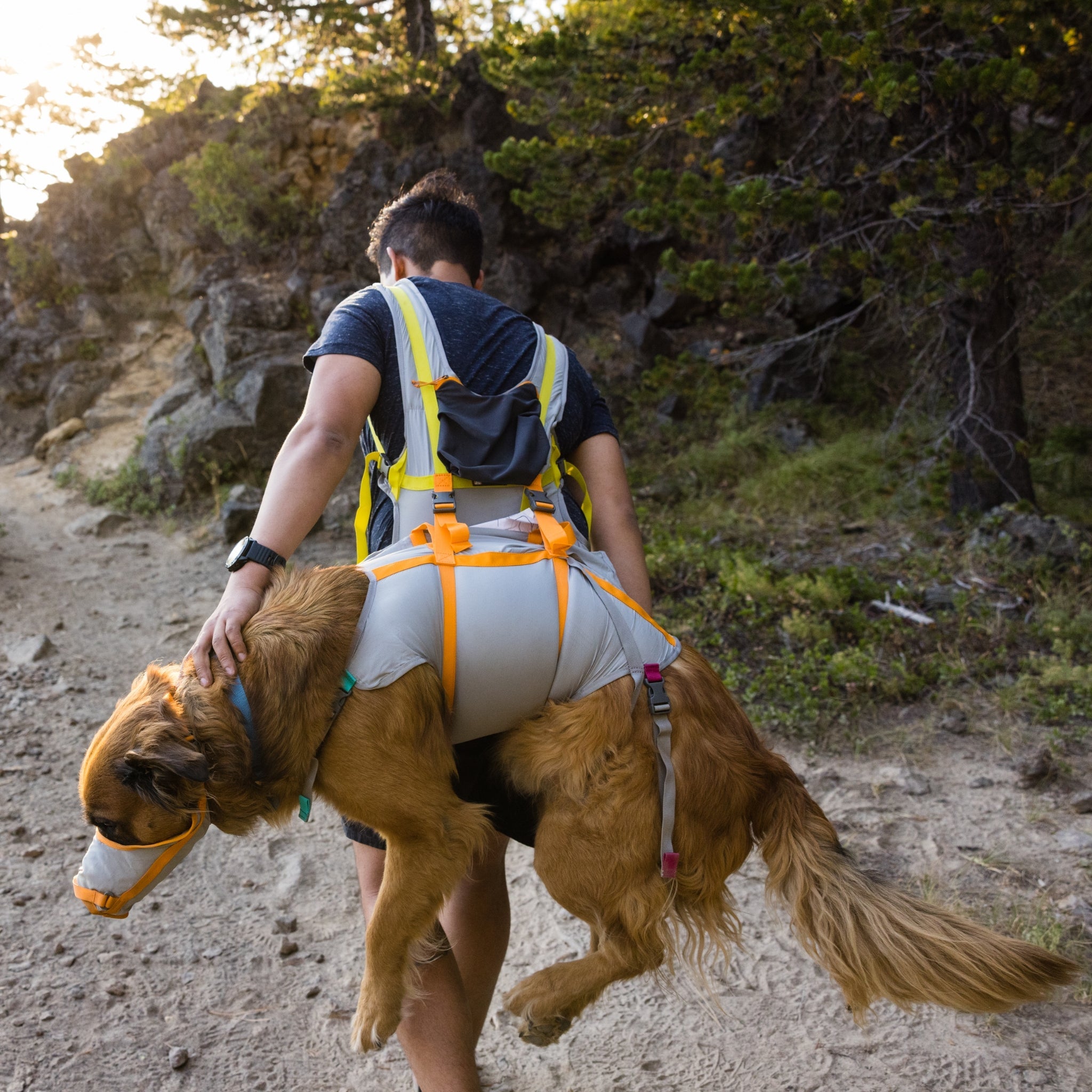 Ruffwear BackTrak Evakuierungsset – Sicheres Hunde - Rettungsgeschirr für Notfälle - Woofshack