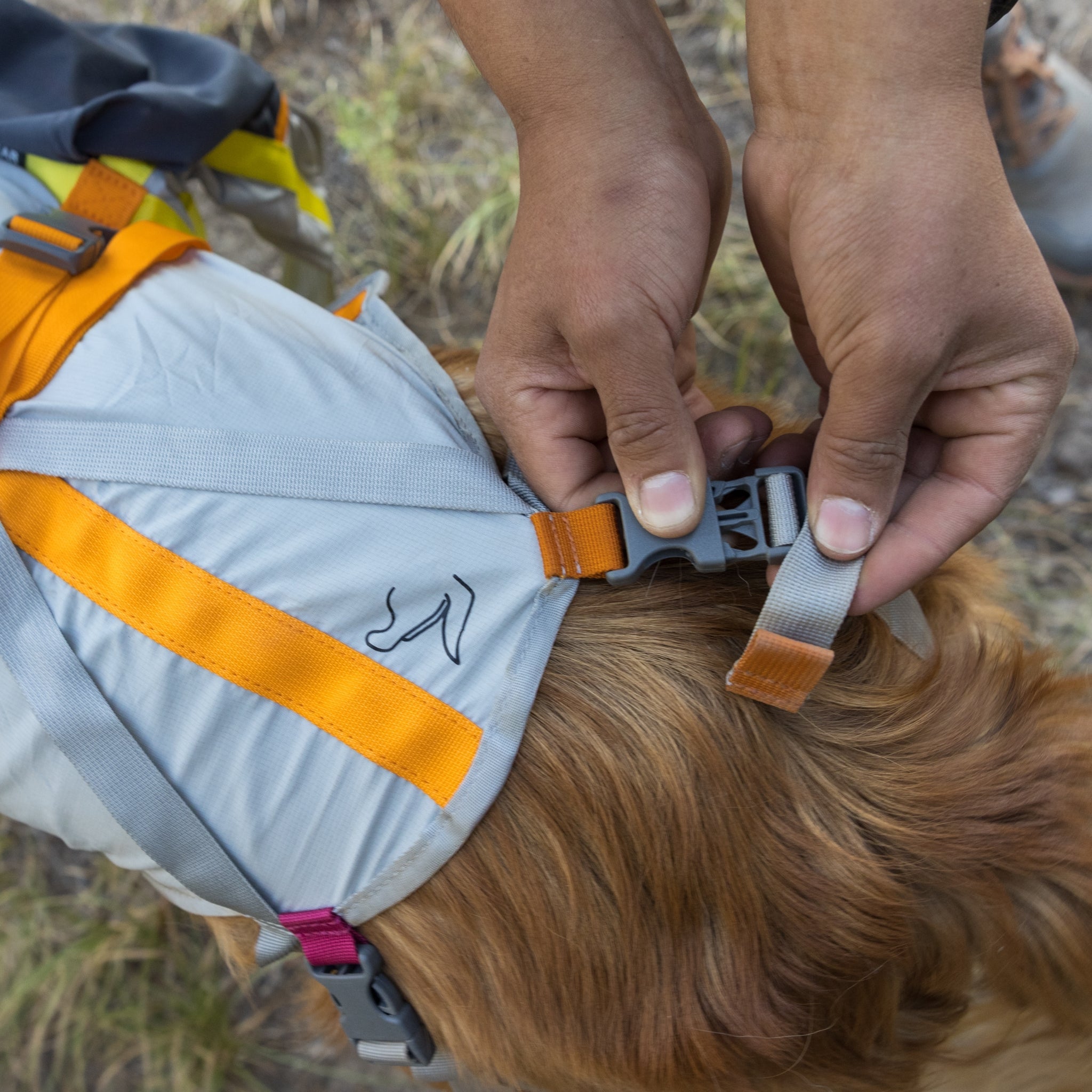 Ruffwear BackTrak Evakuierungsset – Sicheres Hunde - Rettungsgeschirr für Notfälle - Woofshack