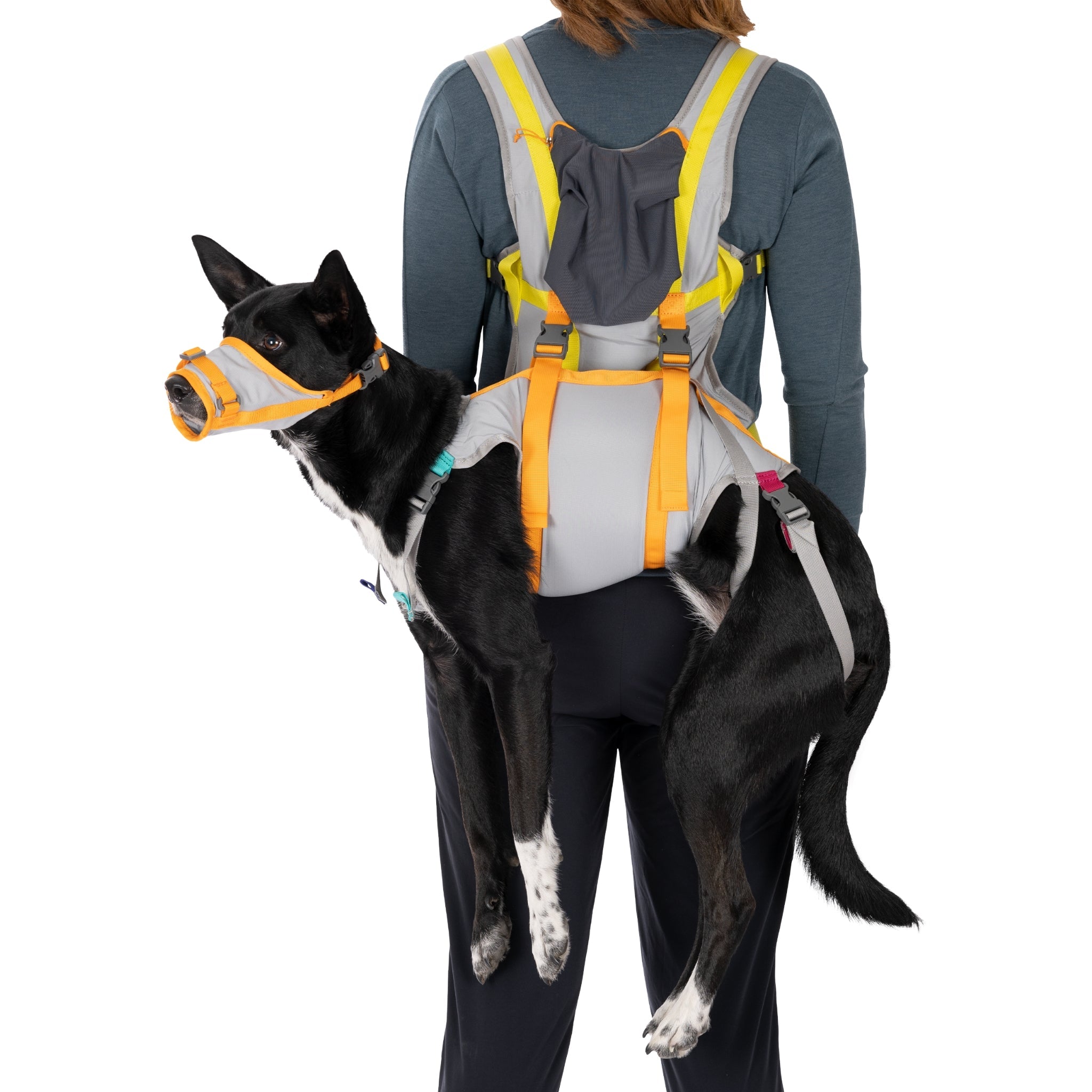 Ruffwear BackTrak Evakuierungsset – Sicheres Hunde - Rettungsgeschirr für Notfälle - Woofshack