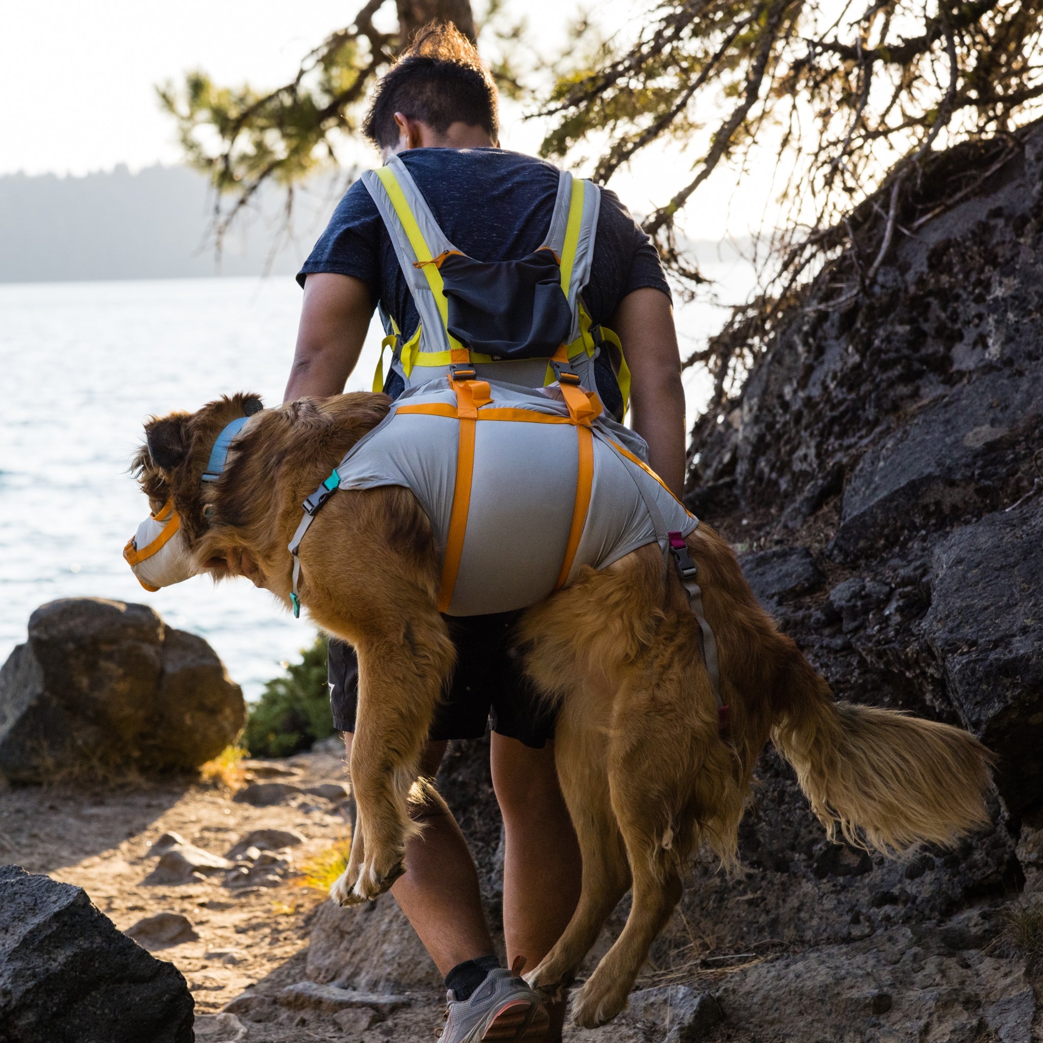 Ruffwear BackTrak Evakuierungsset – Sicheres Hunde - Rettungsgeschirr für Notfälle - Woofshack