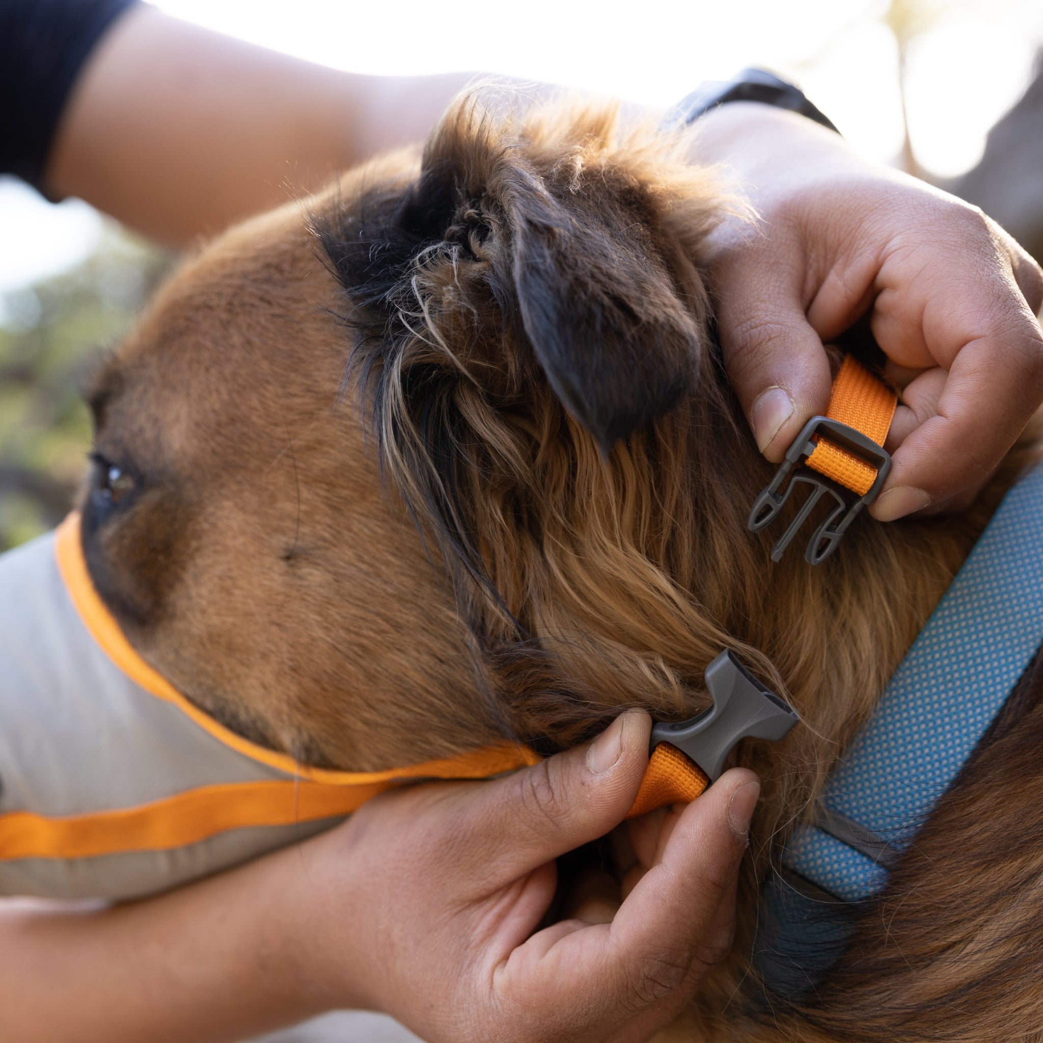 Ruffwear BackTrak Evakuierungsset – Sicheres Hunde - Rettungsgeschirr für Notfälle - Woofshack