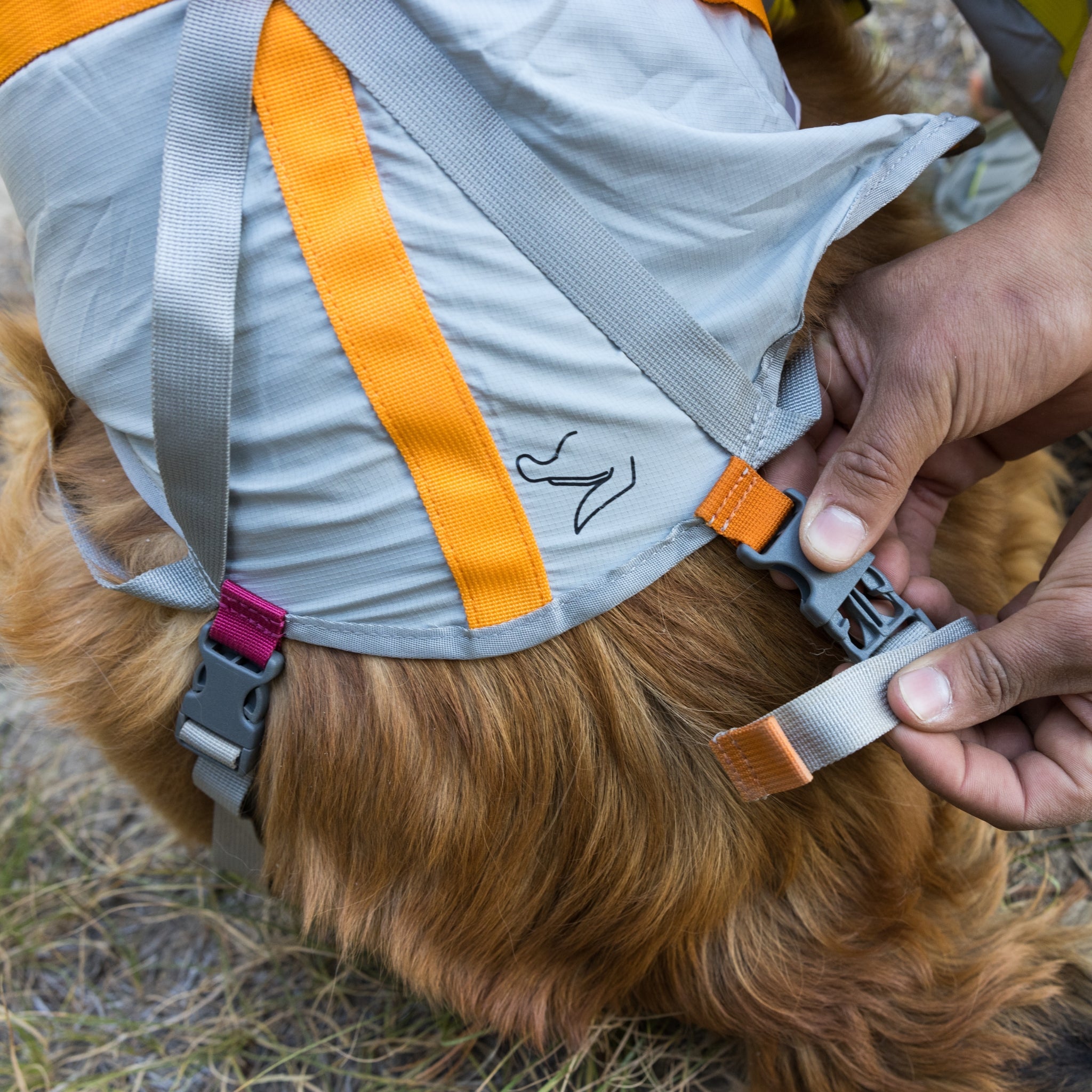 Ruffwear BackTrak Evakuierungsset – Sicheres Hunde - Rettungsgeschirr für Notfälle - Woofshack
