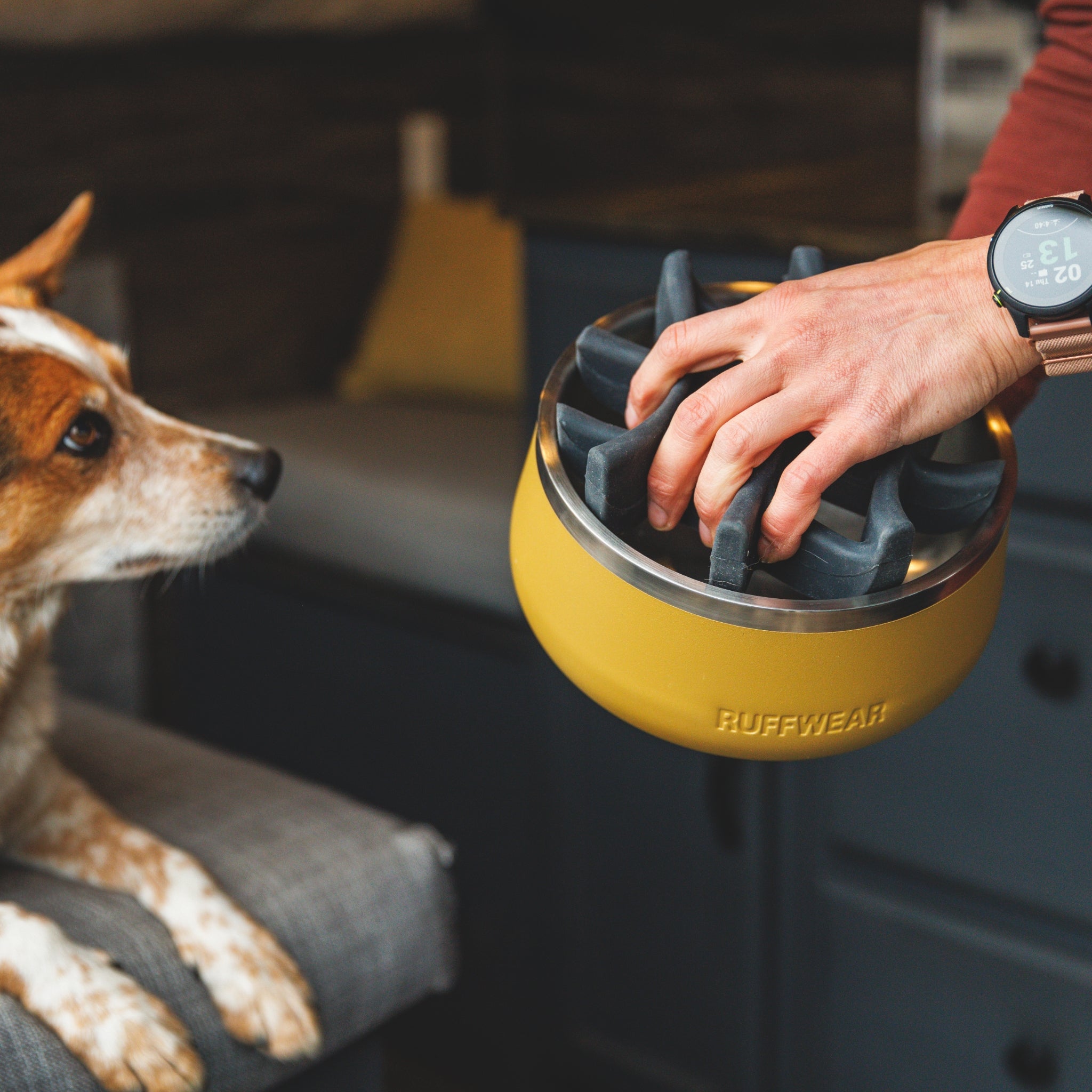 Ruffwear Basecamp Bowl – Robuster Premium Hundenapf aus Edelstahl für Outdoor - Abenteuer & Zuhause - Woofshack