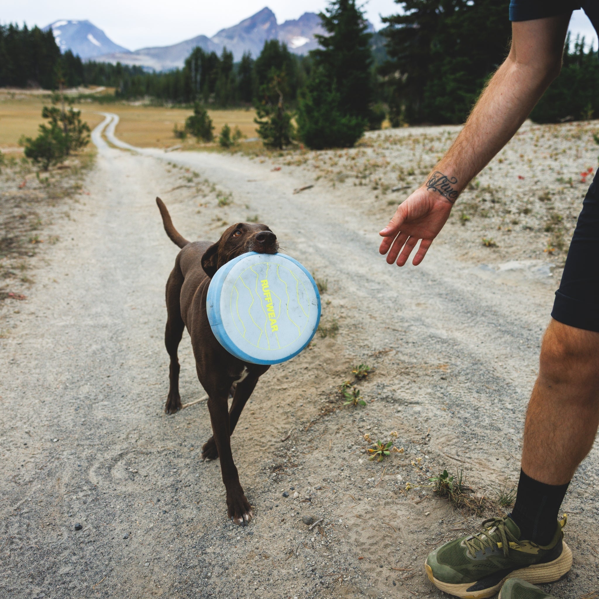 Ruffwear Camp Flyer – Premium Frisbee für Hunde, schwimmfähig, weich & robust für Apportier - Abenteuer am Wasser & Land - Woofshack