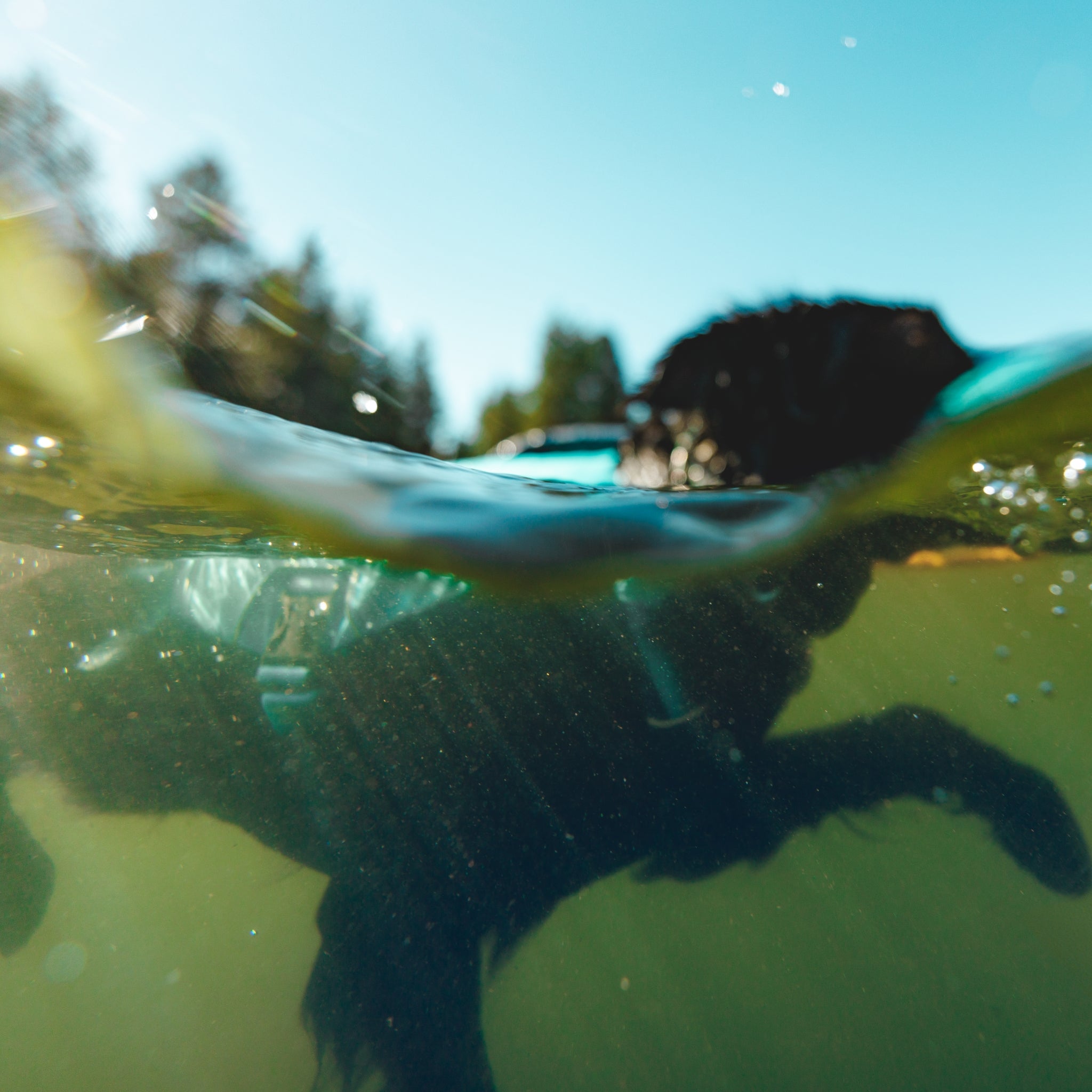 Ruffwear Confluence Schwimmweste – Sicherheit & Auftrieb für Wasserabenteuer mit deinem Hund - Woofshack