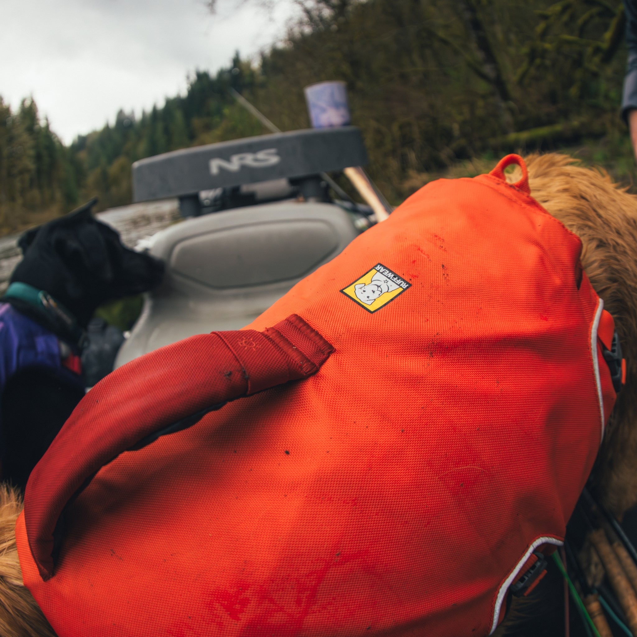 Ruffwear Confluence Schwimmweste – Sicherheit & Auftrieb für Wasserabenteuer mit deinem Hund - Woofshack