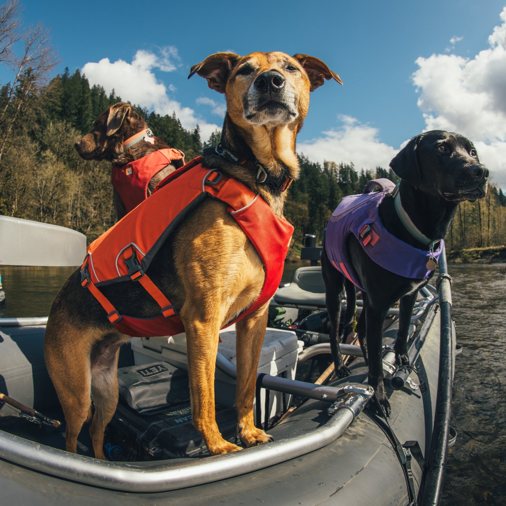 Ruffwear Confluence Schwimmweste – Sicherheit & Auftrieb für Wasserabenteuer mit deinem Hund - Woofshack