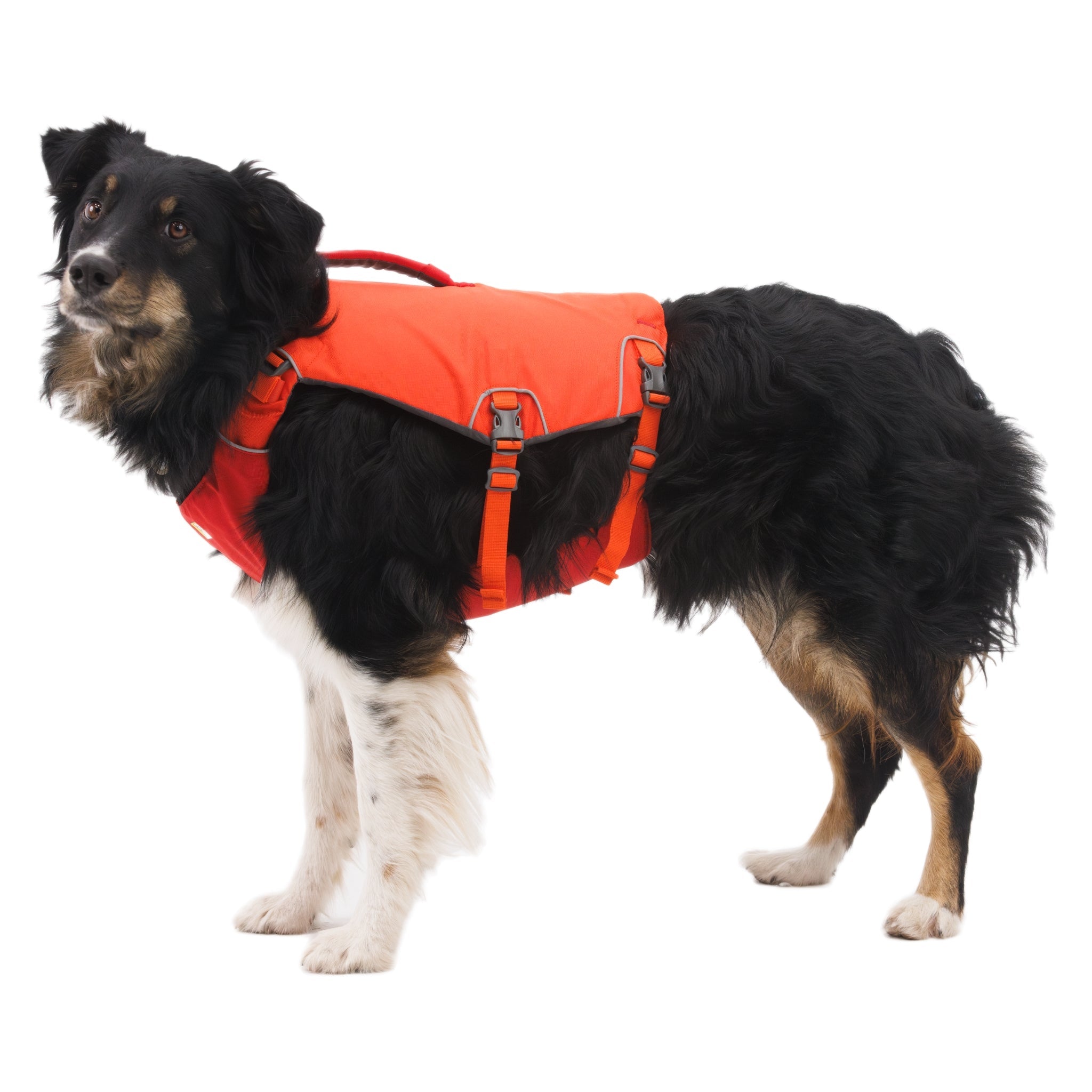 Ruffwear Confluence Schwimmweste – Sicherheit & Auftrieb für Wasserabenteuer mit deinem Hund - Woofshack