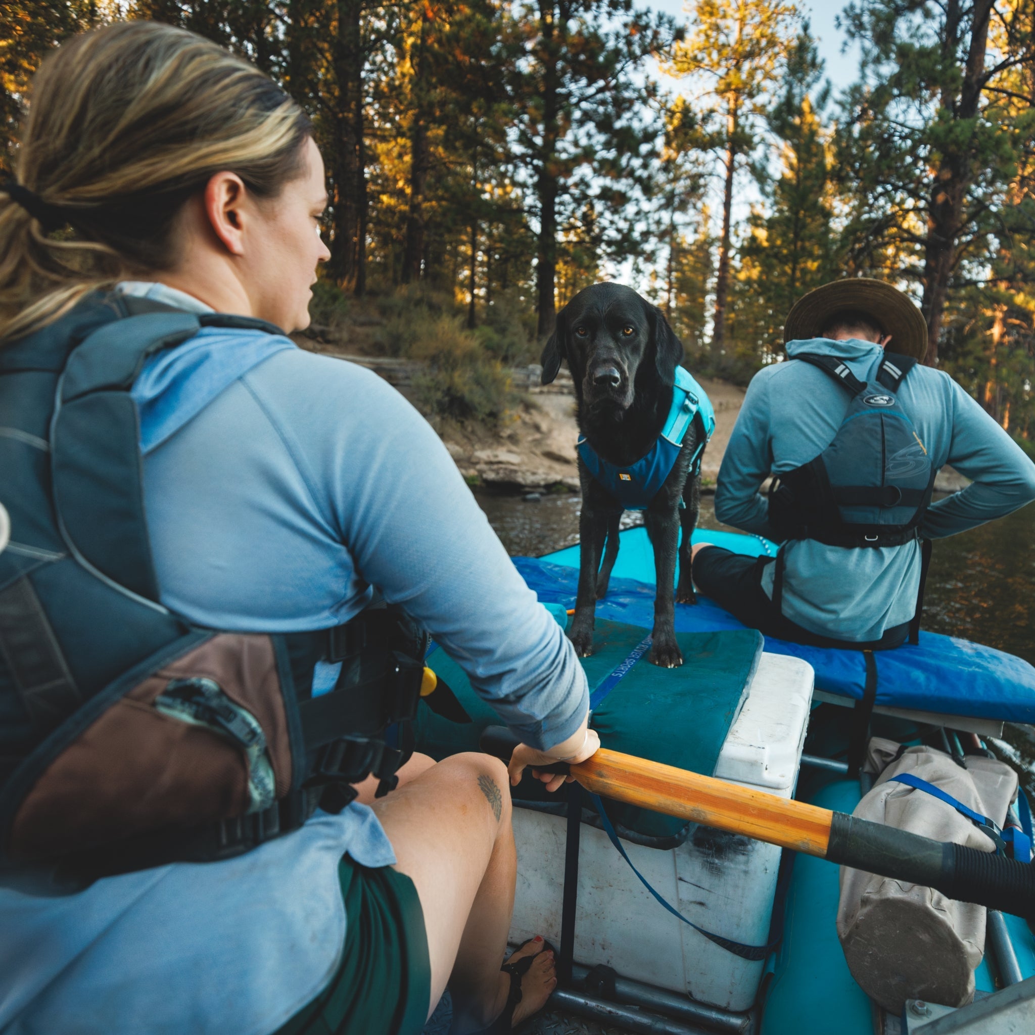 Ruffwear Confluence Schwimmweste – Sicherheit & Auftrieb für Wasserabenteuer mit deinem Hund - Woofshack