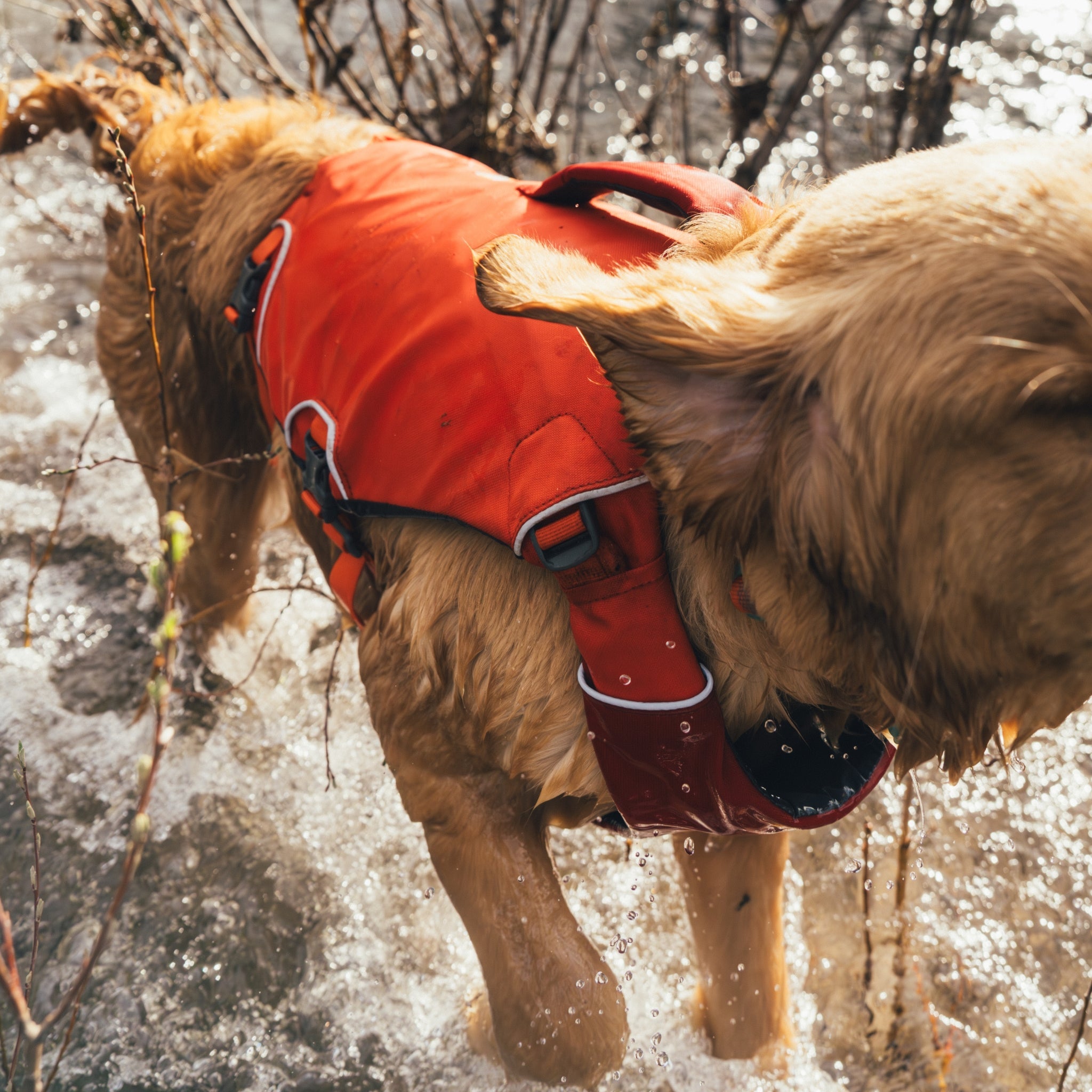 Ruffwear Confluence Schwimmweste – Sicherheit & Auftrieb für Wasserabenteuer mit deinem Hund - Woofshack