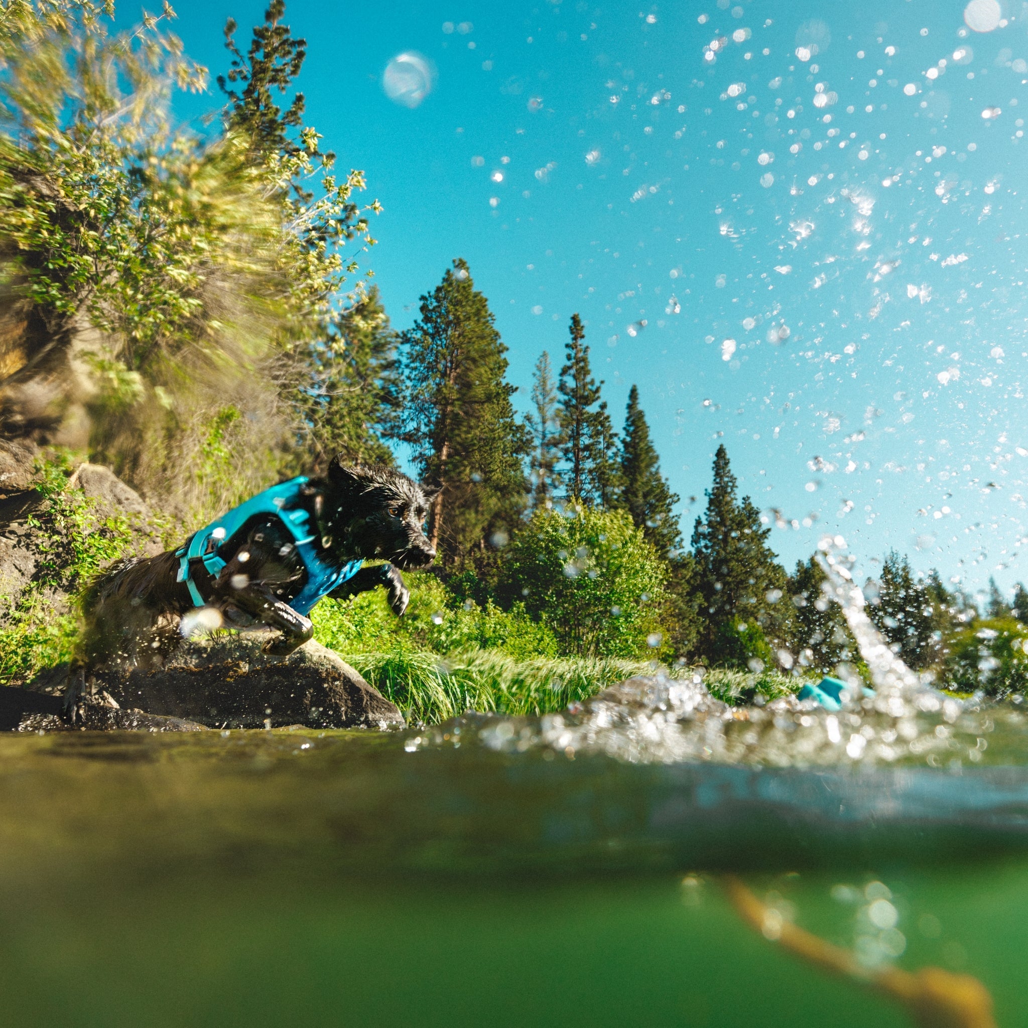Ruffwear Confluence Schwimmweste – Sicherheit & Auftrieb für Wasserabenteuer mit deinem Hund - Woofshack