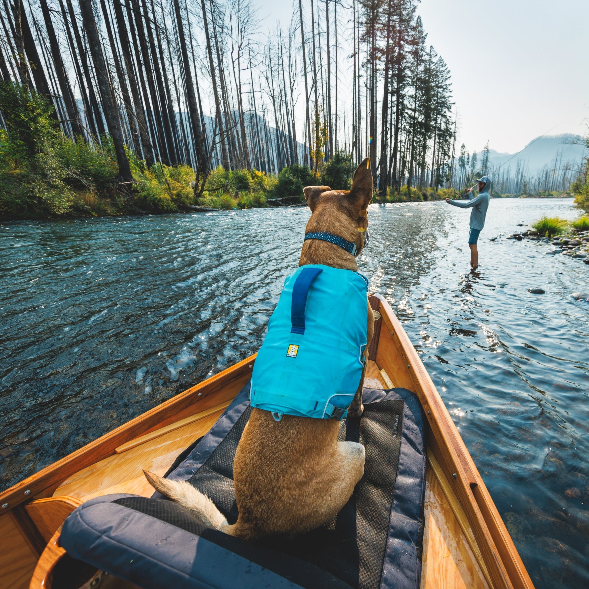 Ruffwear Confluence Schwimmweste – Sicherheit & Auftrieb für Wasserabenteuer mit deinem Hund - Woofshack