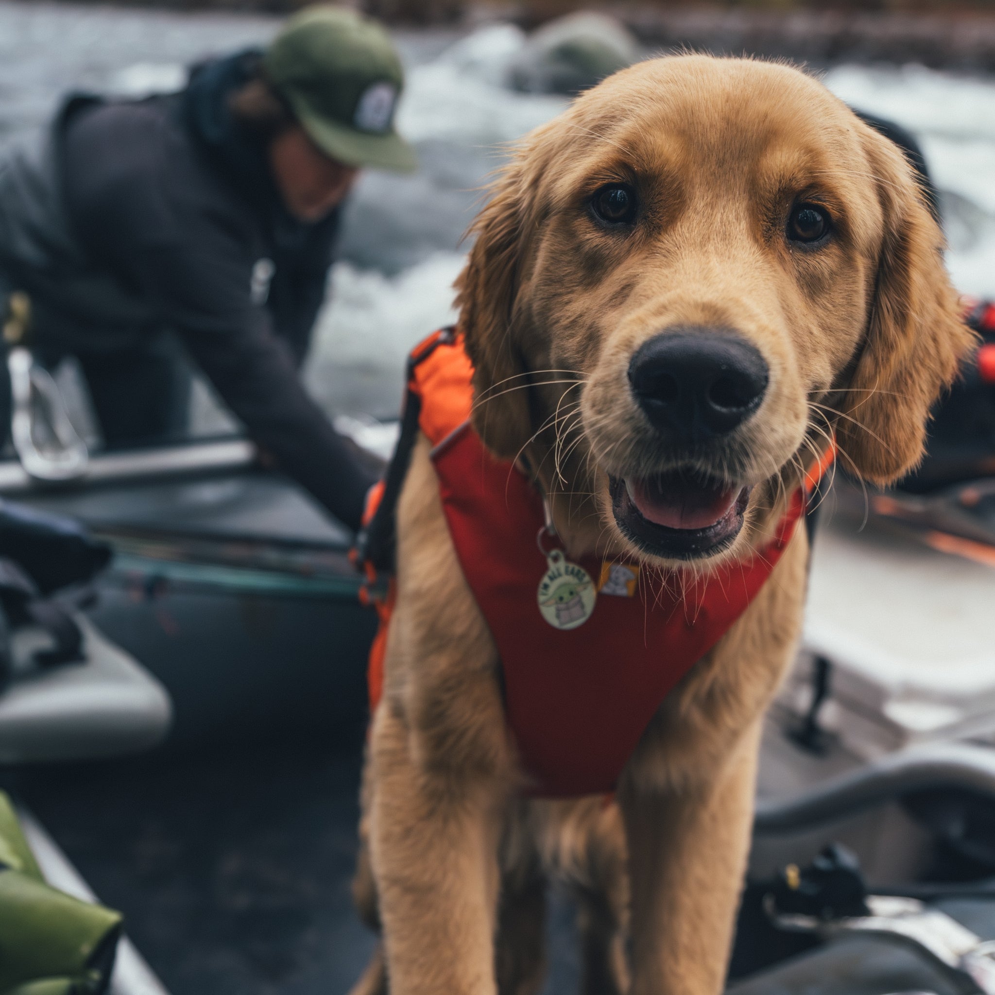 Ruffwear Confluence Schwimmweste – Sicherheit & Auftrieb für Wasserabenteuer mit deinem Hund - Woofshack