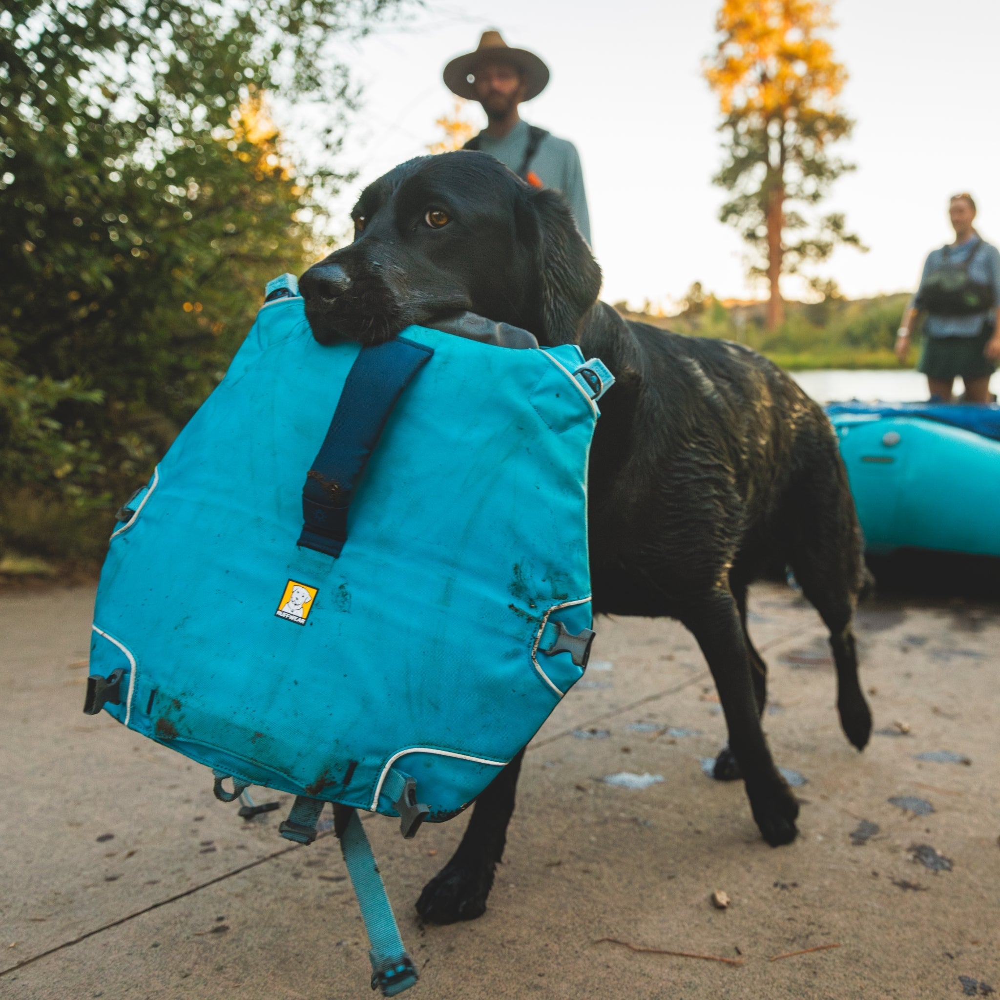 Ruffwear Confluence Schwimmweste – Sicherheit & Auftrieb für Wasserabenteuer mit deinem Hund - Woofshack