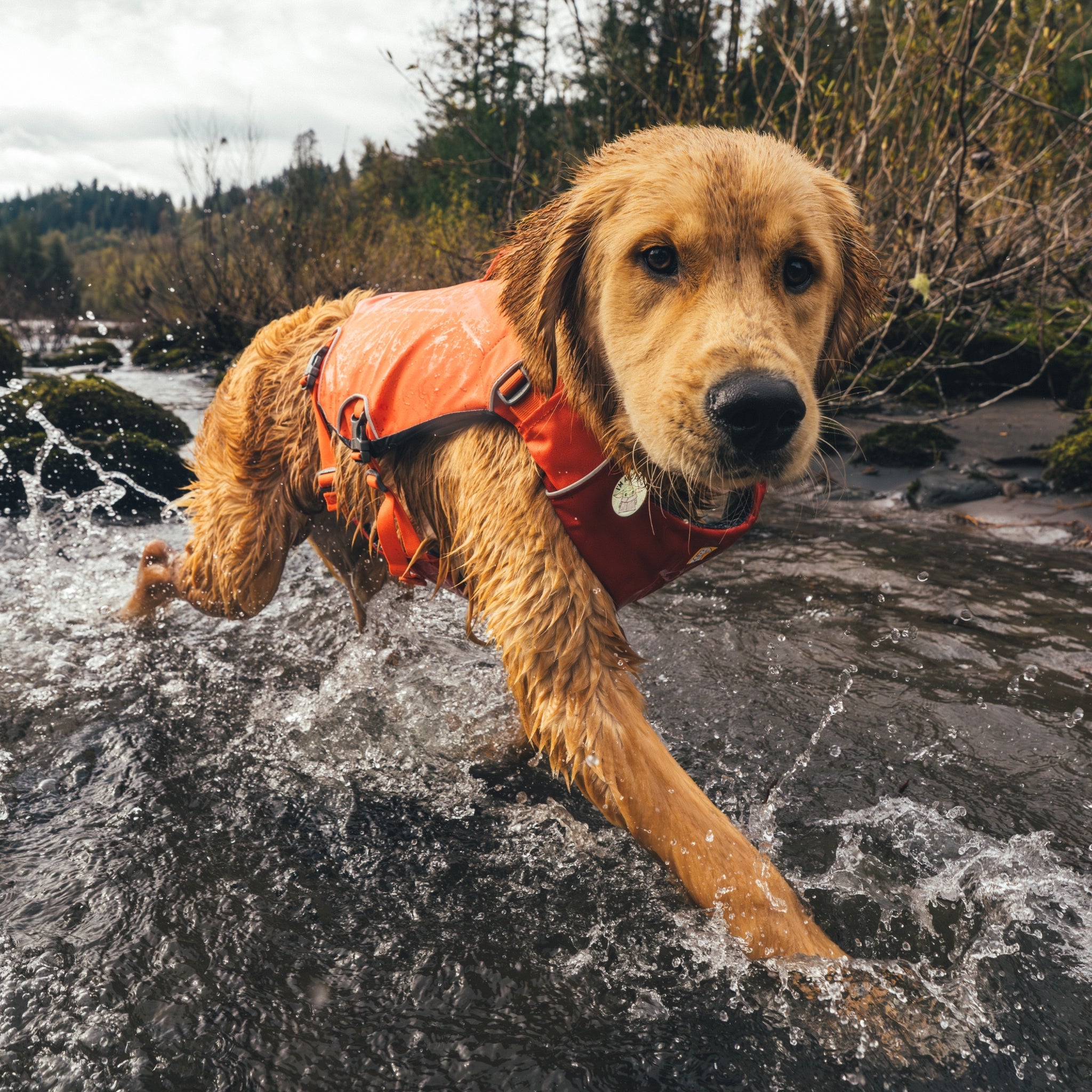 Ruffwear Confluence Schwimmweste – Sicherheit & Auftrieb für Wasserabenteuer mit deinem Hund - Woofshack