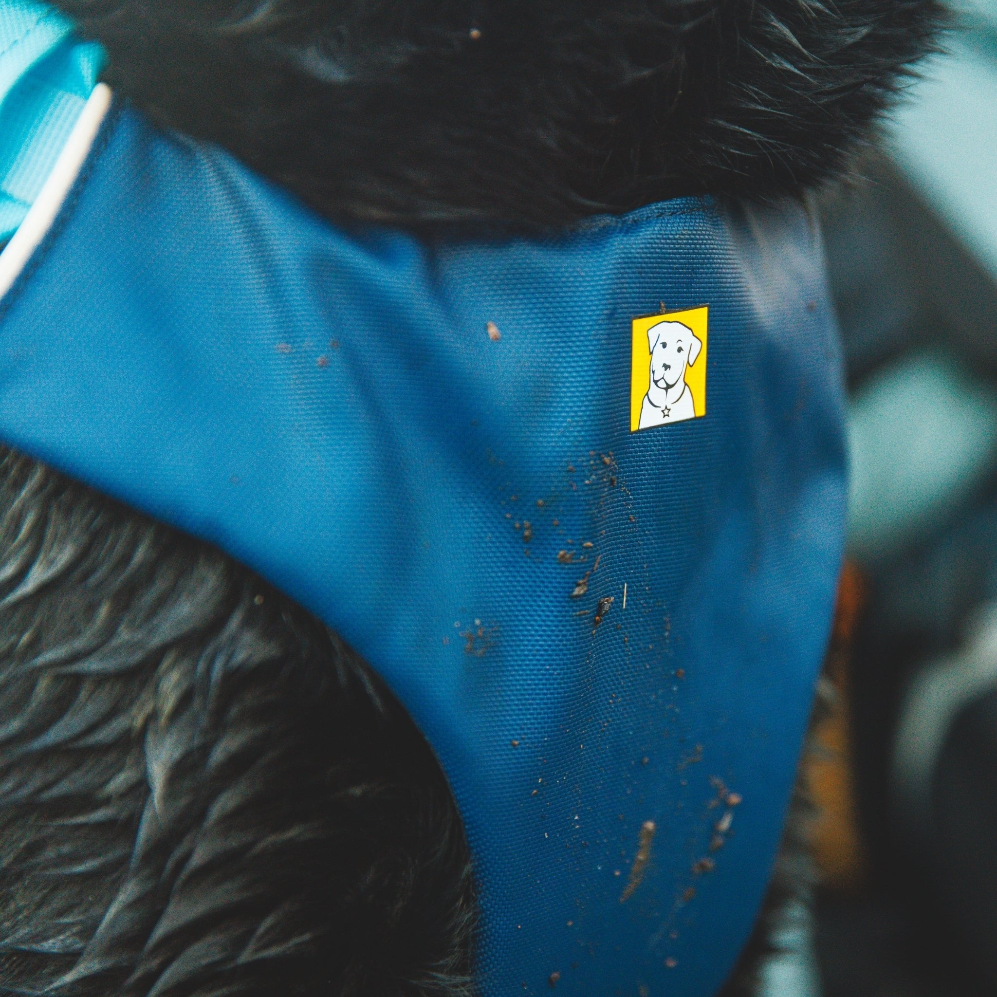 Ruffwear Confluence Schwimmweste – Sicherheit & Auftrieb für Wasserabenteuer mit deinem Hund - Woofshack