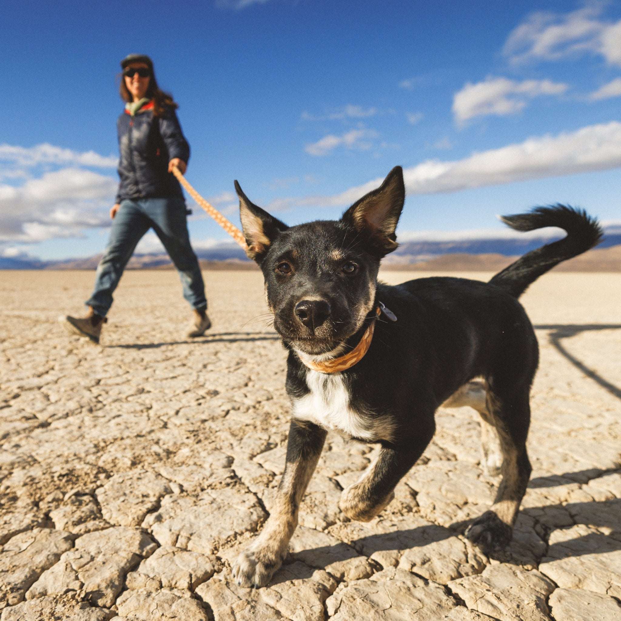 Ruffwear Crag Collar – Robustes Outdoor-Hundehalsband für Wandern, Klettern & Abenteuer | Wetterfest & Strapazierfähig - Woofshack