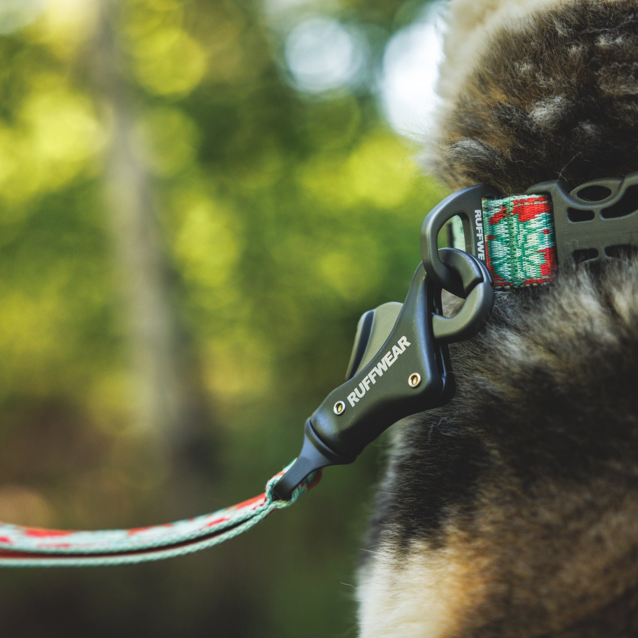 Ruffwear Crag Collar – Robustes Outdoor-Hundehalsband für Wandern, Klettern & Abenteuer | Wetterfest & Strapazierfähig - Woofshack