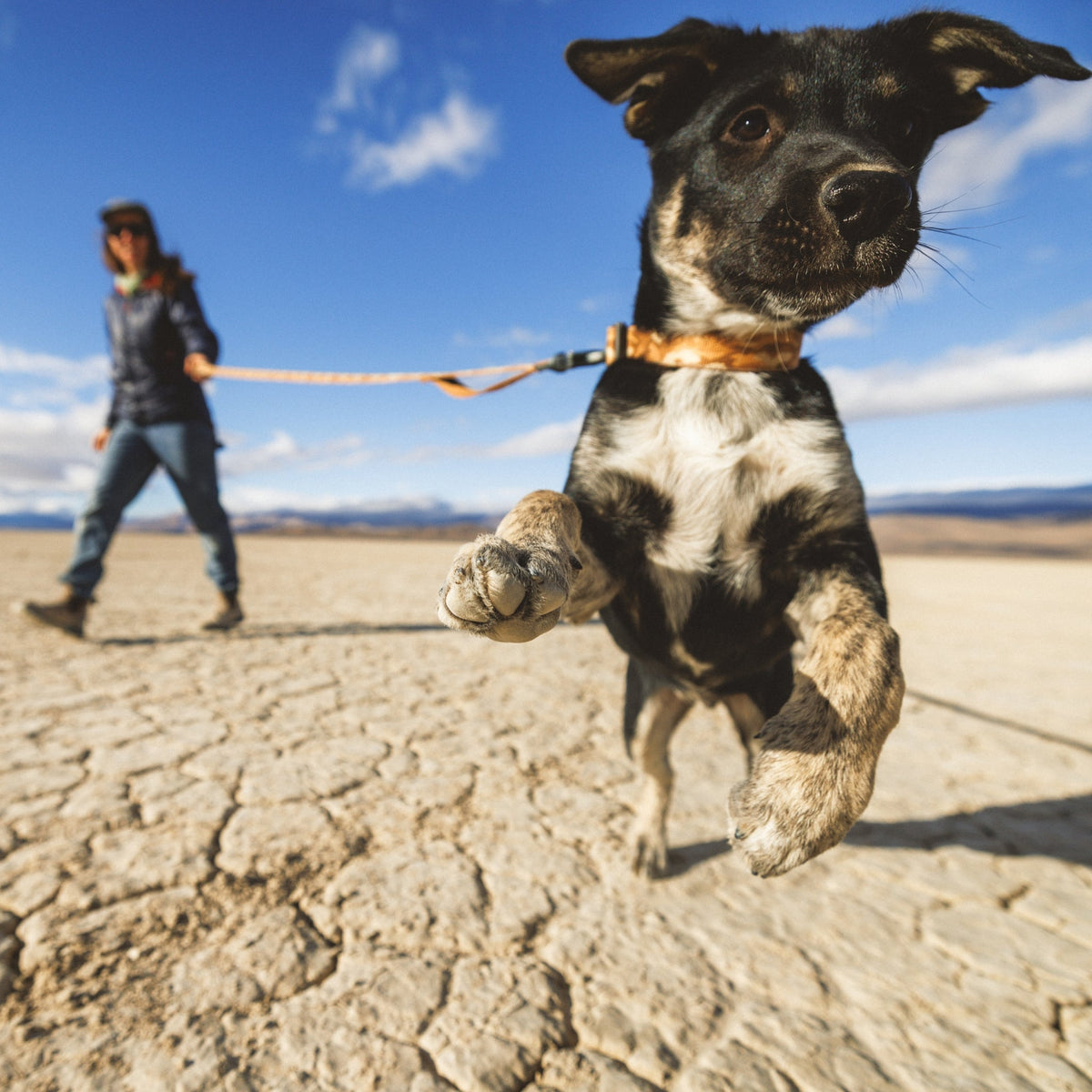 Ruffwear Crag Collar – Robustes Outdoor-Hundehalsband für Wandern, Klettern & Abenteuer | Wetterfest & Strapazierfähig - Woofshack