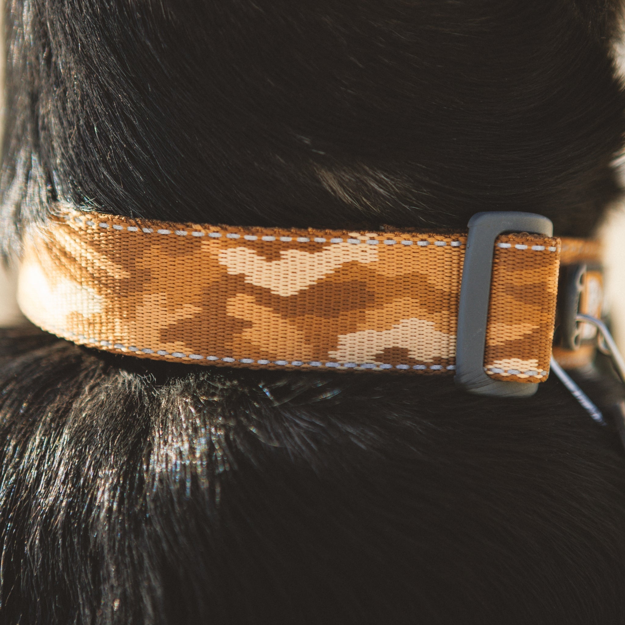 Ruffwear Crag Collar – Robustes Outdoor-Hundehalsband für Wandern, Klettern & Abenteuer | Wetterfest & Strapazierfähig - Woofshack