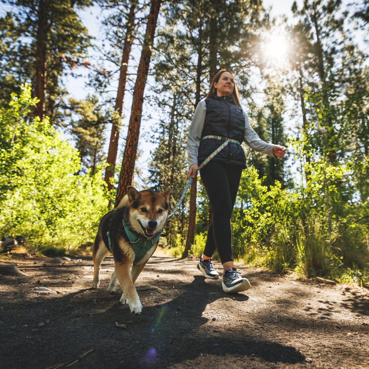 Ruffwear Crag Leash – Strapazierfähige Outdoor-Hundeleine für Wanderungen, Klettern & Abenteuer mit deinem Hund - Woofshack