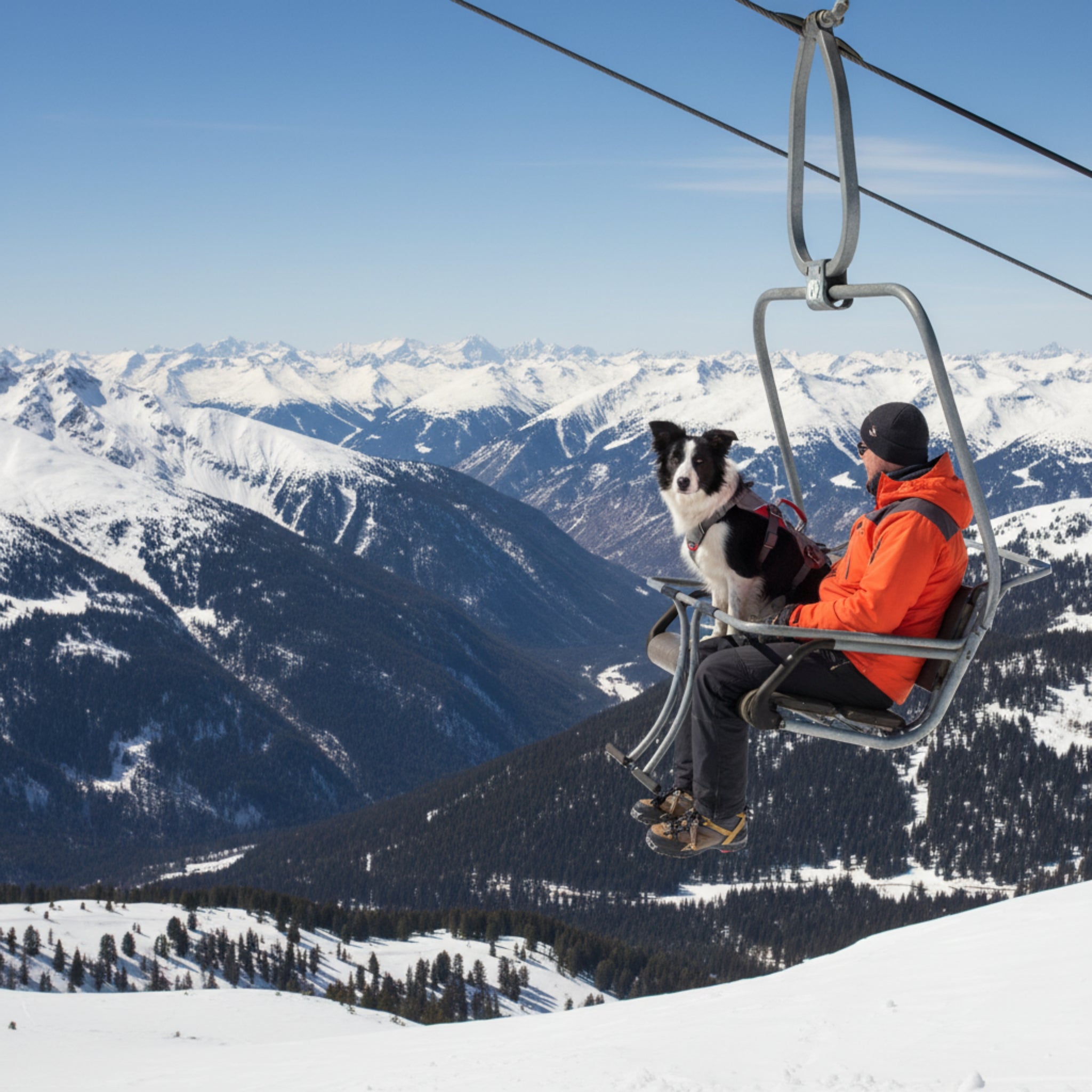 Ruffwear Doubleback Harness – Professionelles Abseilgeschirr für Hunde beim Klettern & Bergsteigen - Woofshack