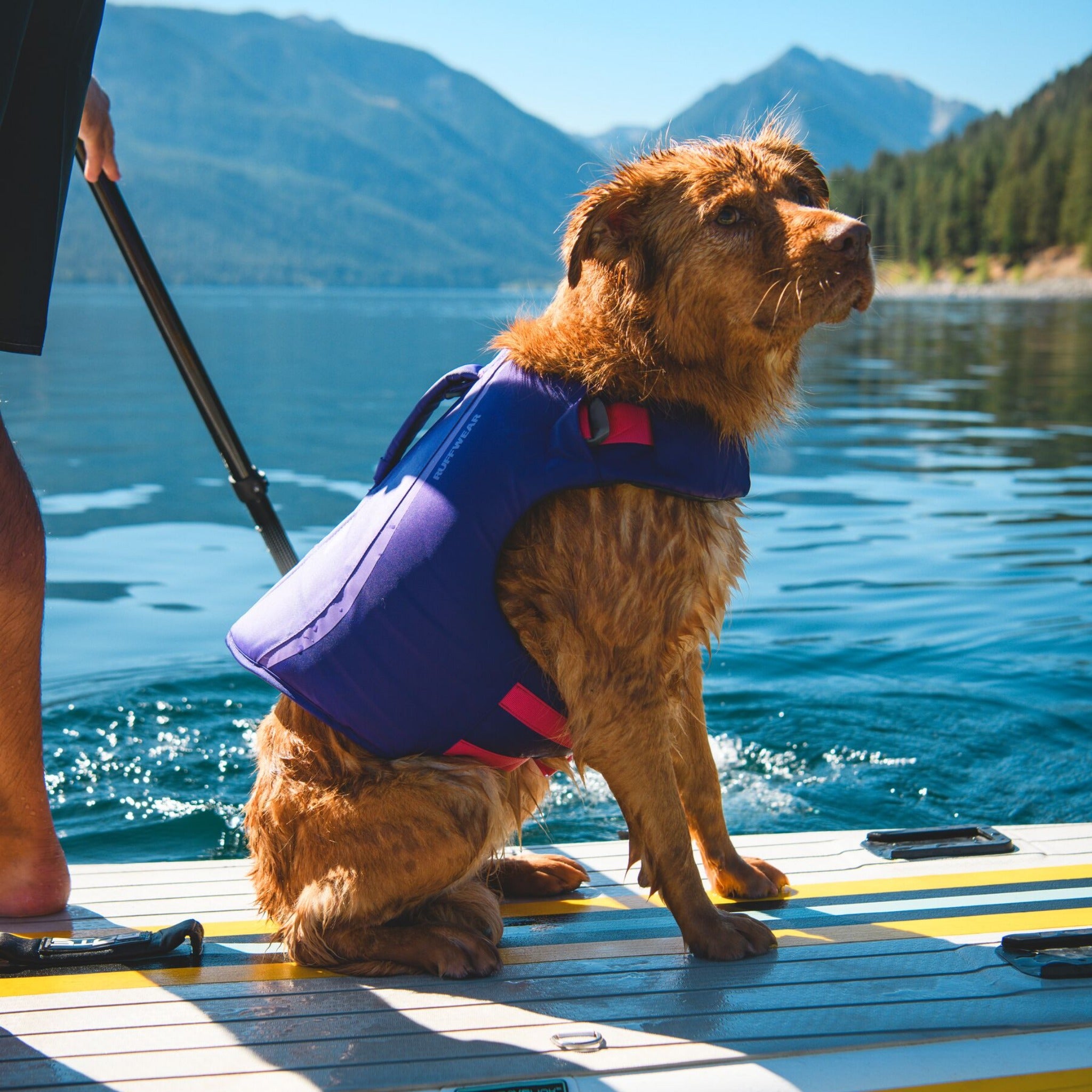 Ruffwear Float Coat Hundeschwimmweste – Maximaler Auftrieb & Rettungsgriff für sicheres Schwimmen, Wassersport & Bootstouren mit deinem Hund