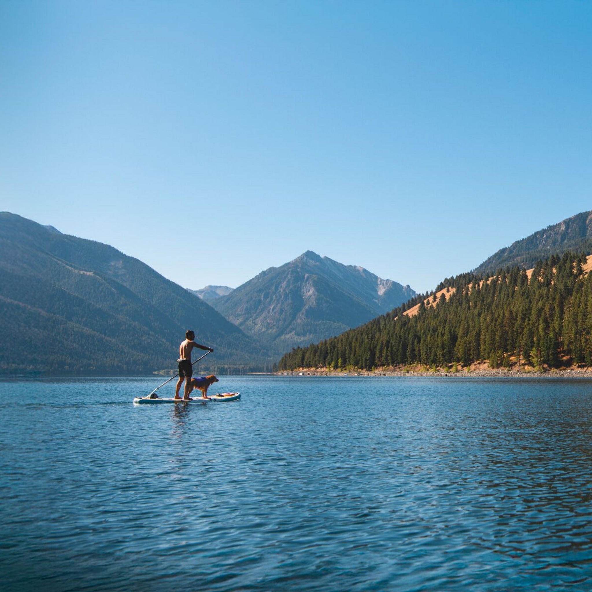 Ruffwear Float Coat Hundeschwimmweste – Auftrieb & Sicherheit