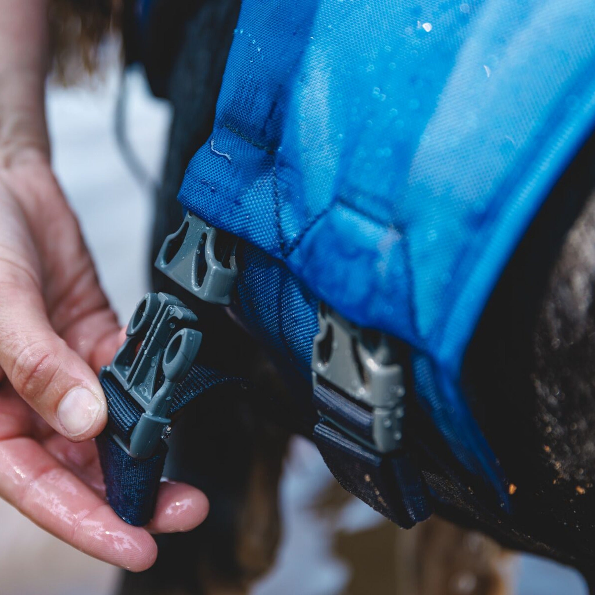 Ruffwear Float Coat Hundeschwimmweste – Maximaler Auftrieb & Rettungsgriff für sicheres Schwimmen, Wassersport & Bootstouren mit deinem Hund