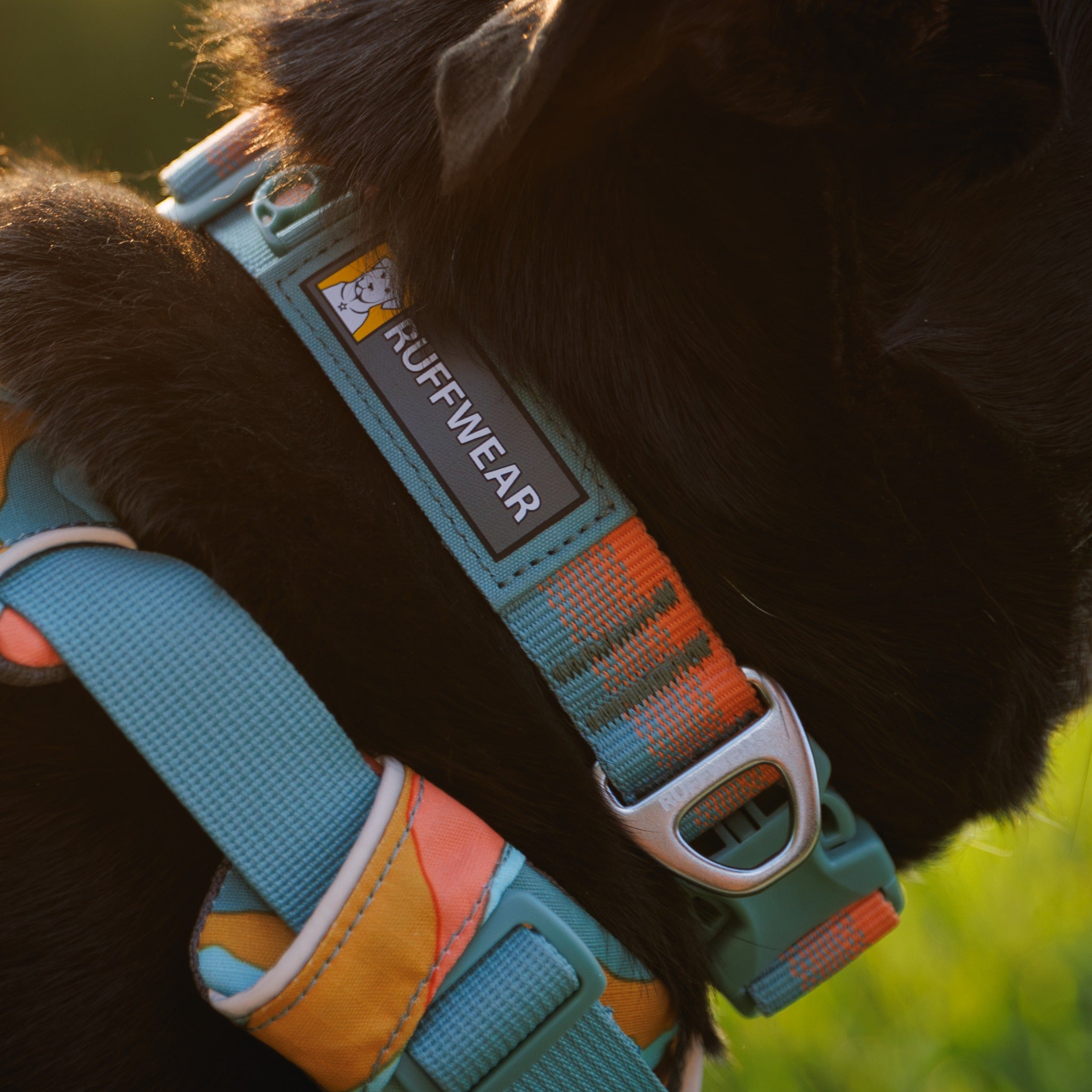 Ruffwear Front Range Collar – Verstellbares Premium-Hundehalsband für aktive Hunde mit gepolstertem Komfort und robuster Verarbeitung