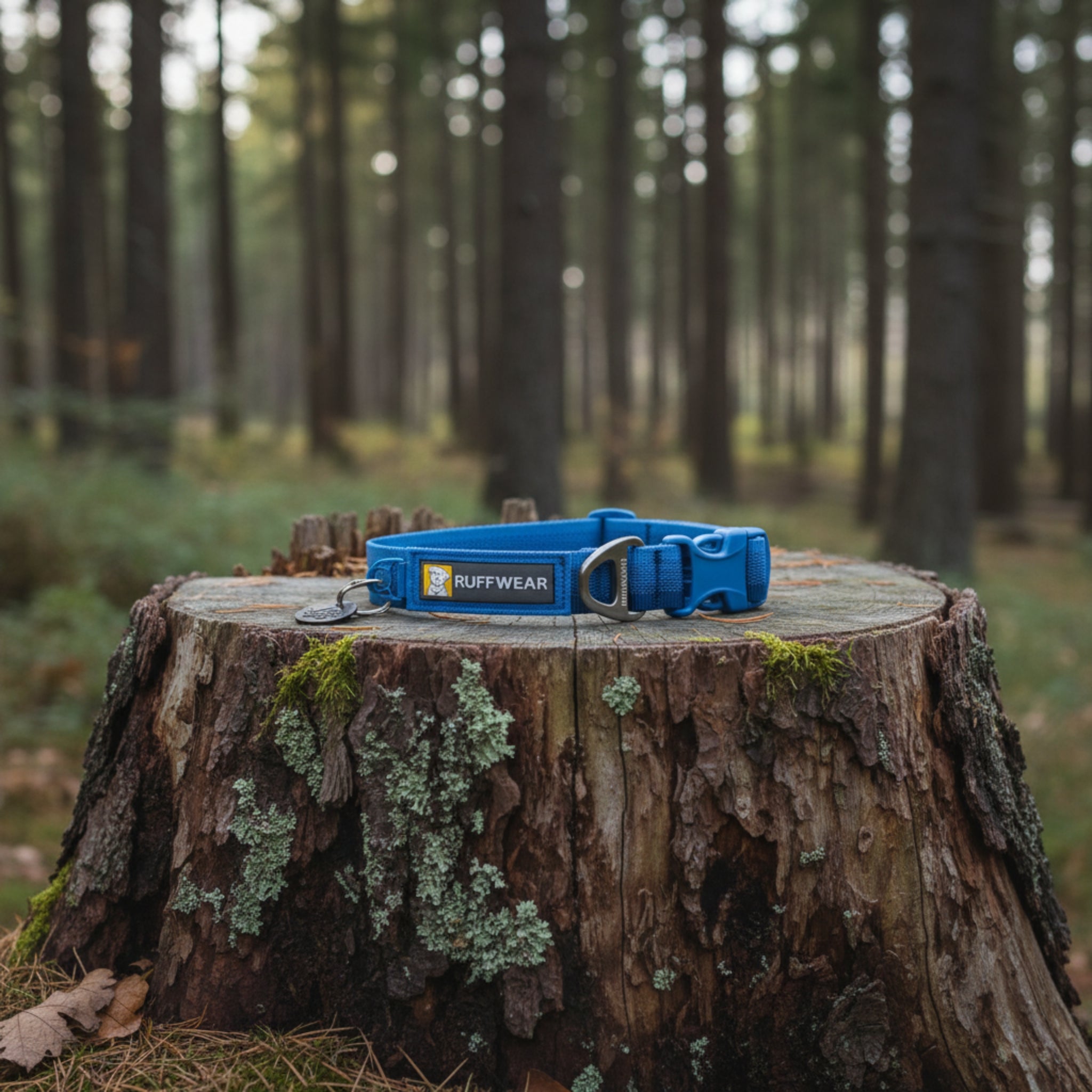 Ruffwear Front Range Collar, Hundehalsband - Woofshack