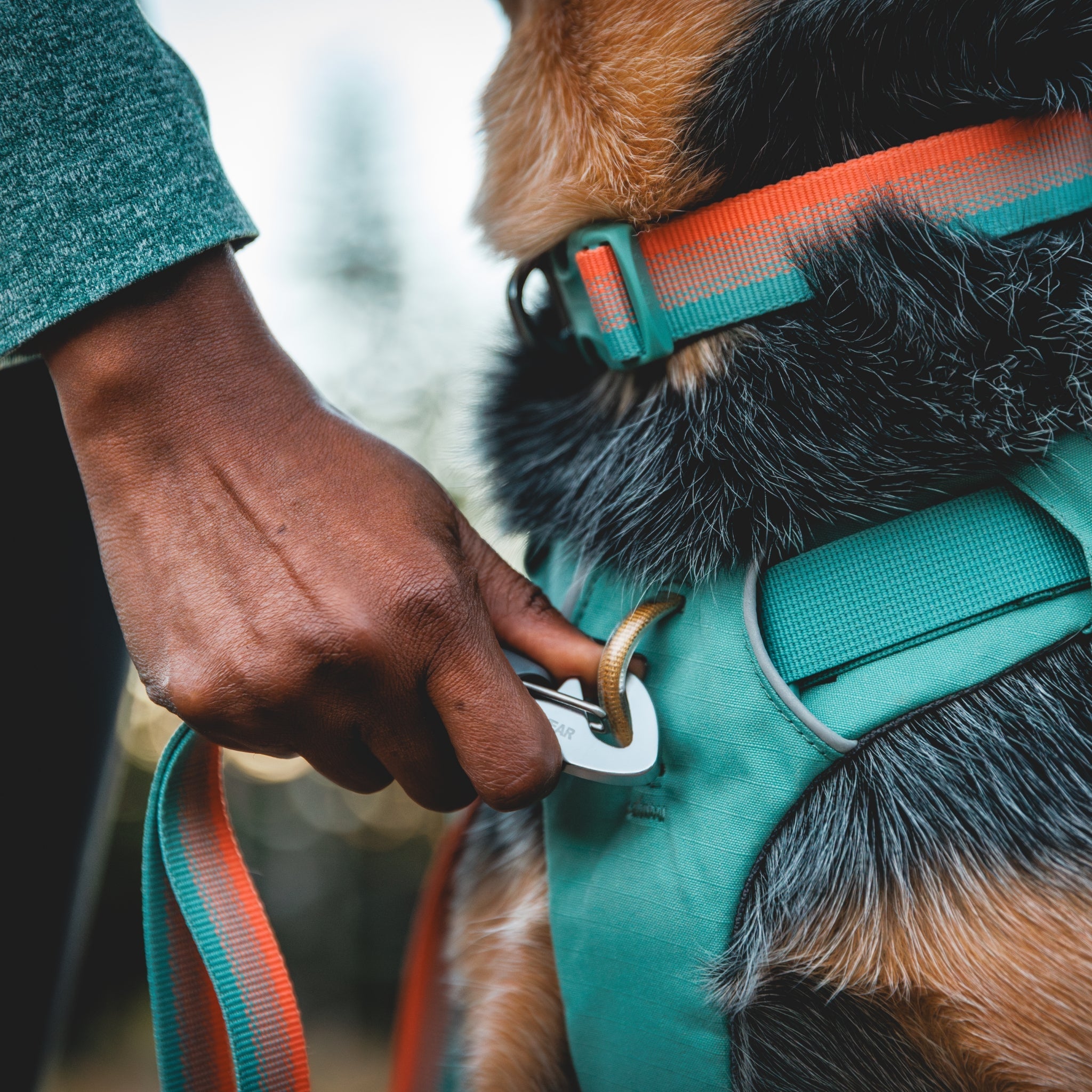 Ruffwear Front Range Day Pack – Hundegeschirr mit Packtaschen für Wanderungen & Outdoor - Abenteuer - Woofshack
