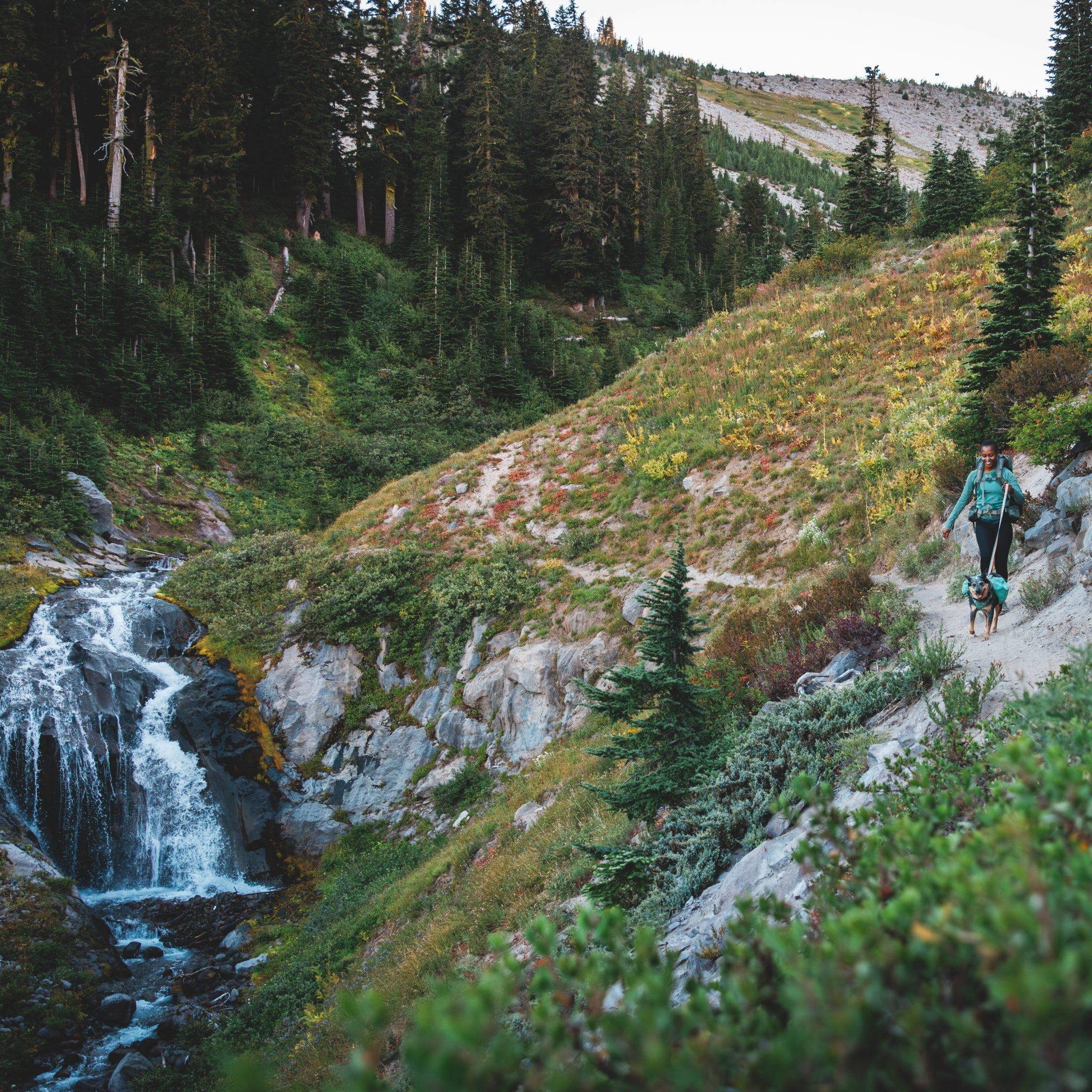 Ruffwear Front Range Day Pack – Hundegeschirr mit Packtaschen für Wanderungen & Outdoor - Abenteuer - Woofshack