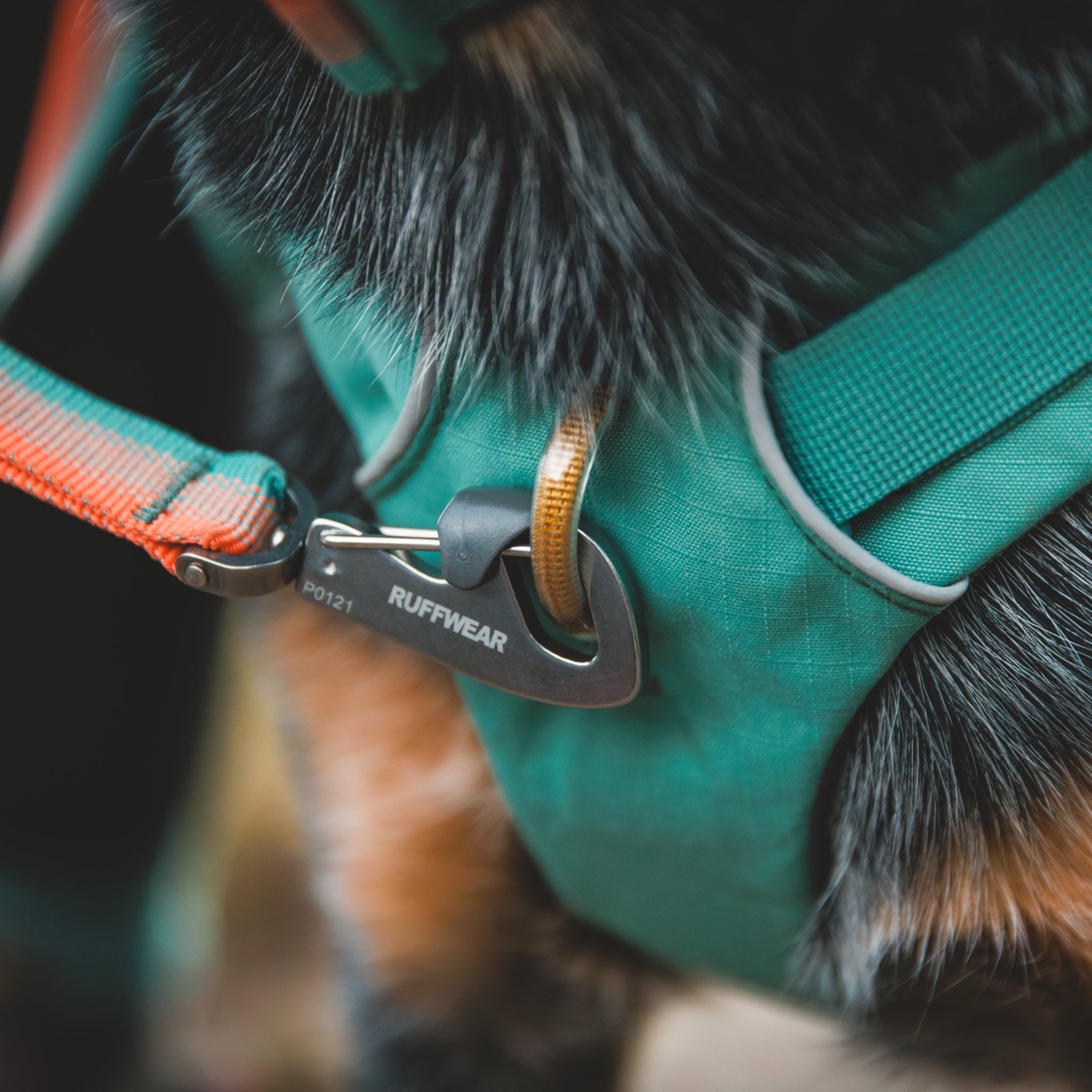 Ruffwear Front Range Day Pack – Hundegeschirr mit Packtaschen für Wanderungen & Outdoor - Abenteuer - Woofshack