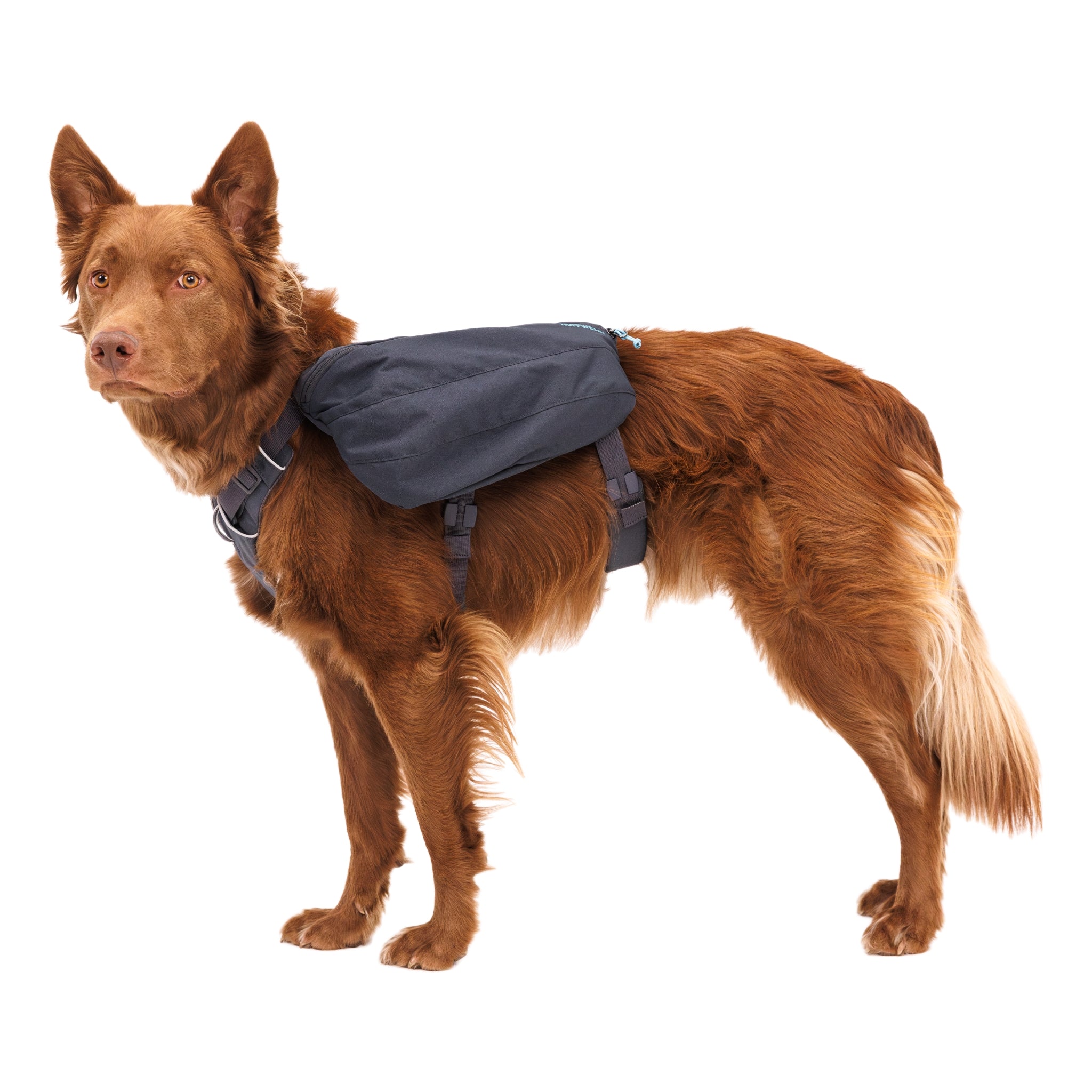 Ruffwear Front Range Day Pack – Hundegeschirr mit Packtaschen für Wanderungen & Outdoor - Abenteuer - Woofshack